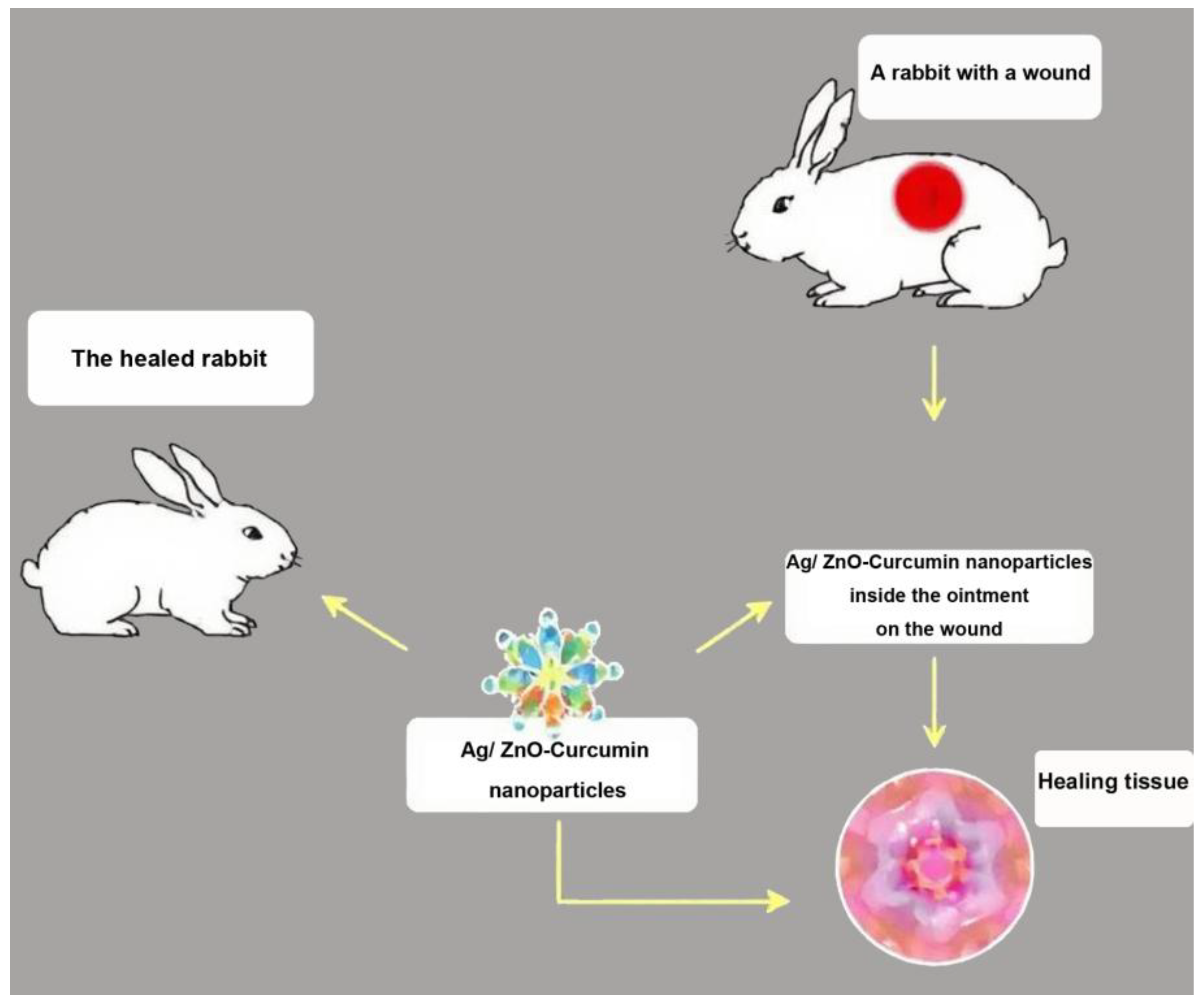 Bioengineering 12 01090 g008