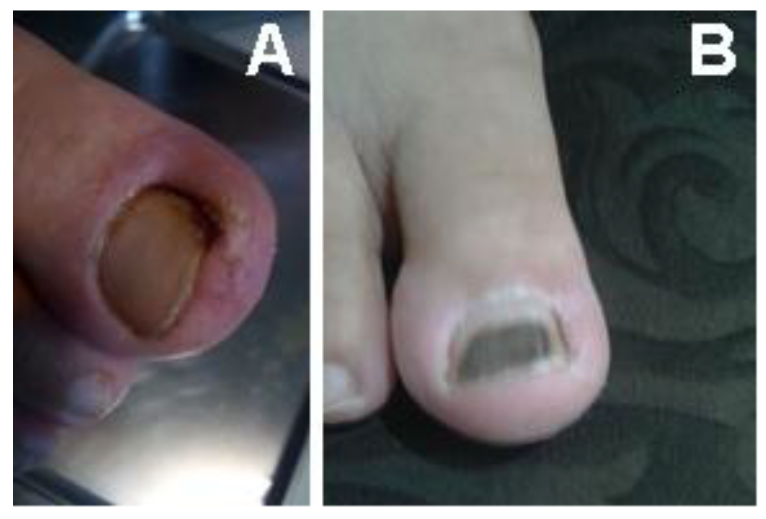 Bioengineering 12 01090 g010