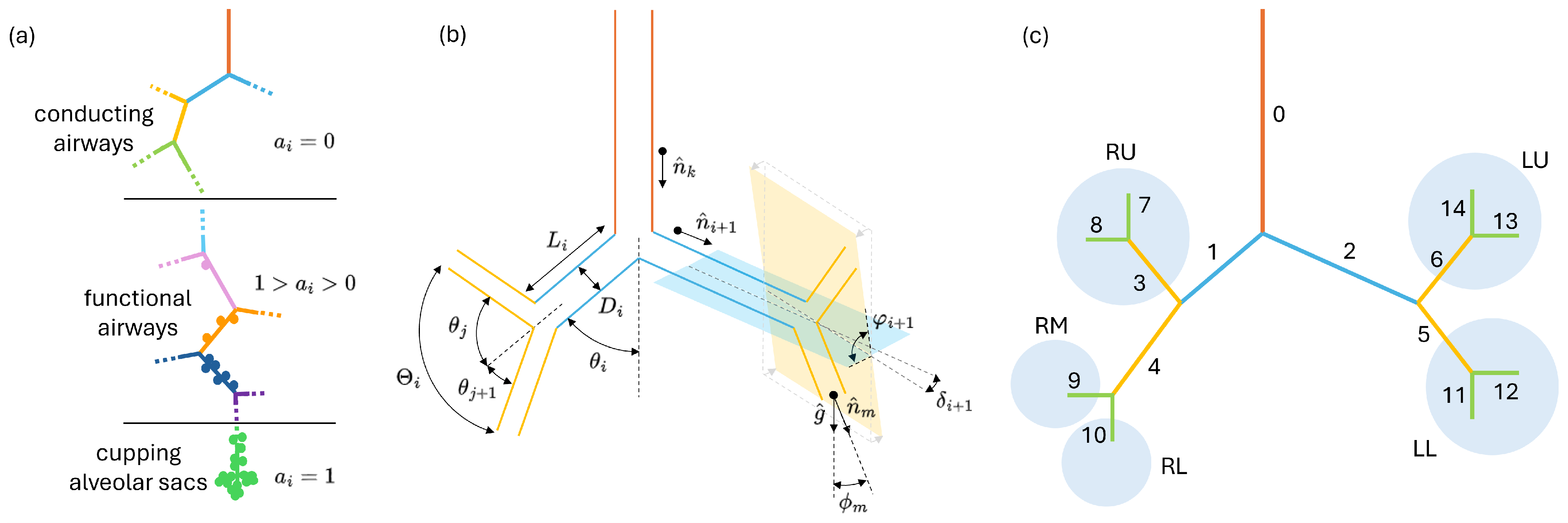 Bioengineering 12 01092 g001