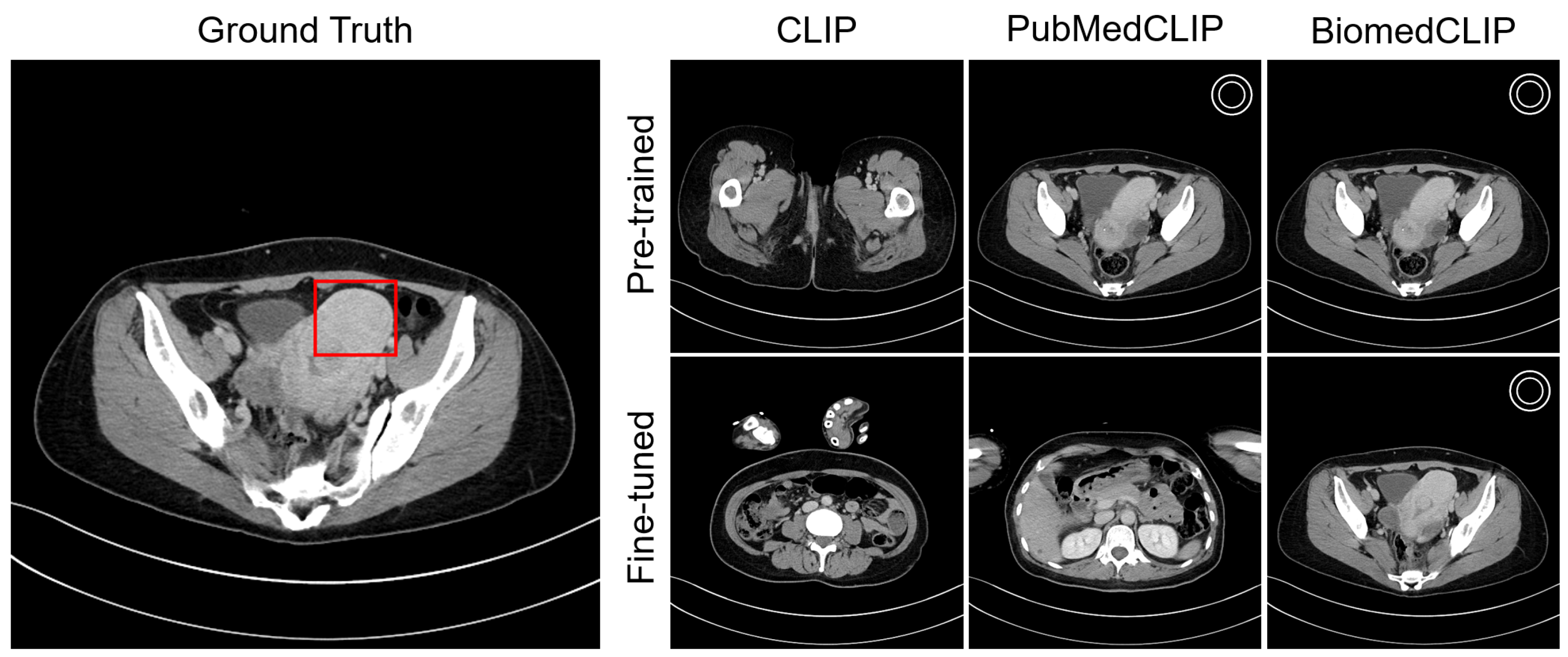 Bioengineering 12 01093 g004
