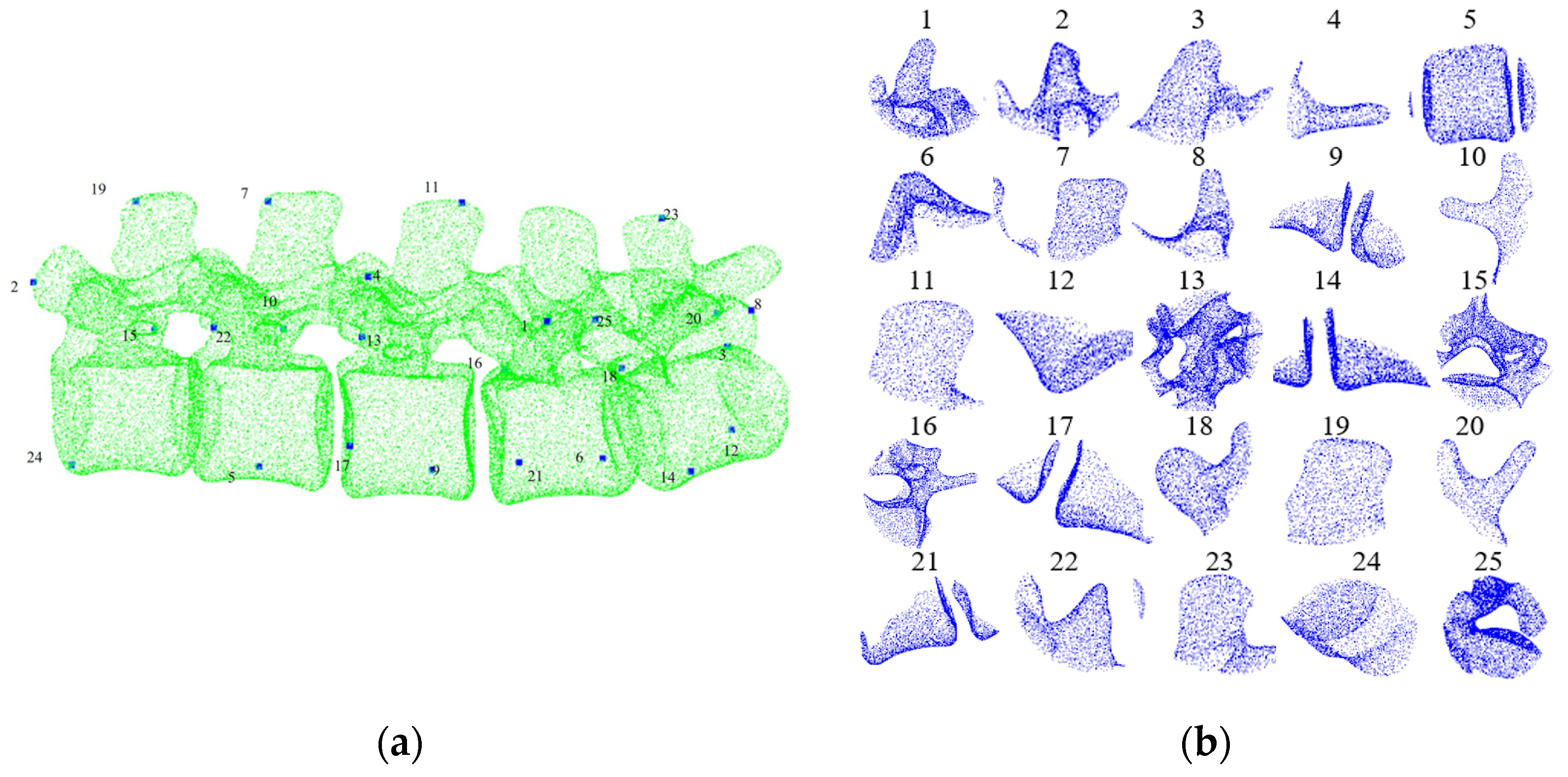 Bioengineering 12 01096 g003
