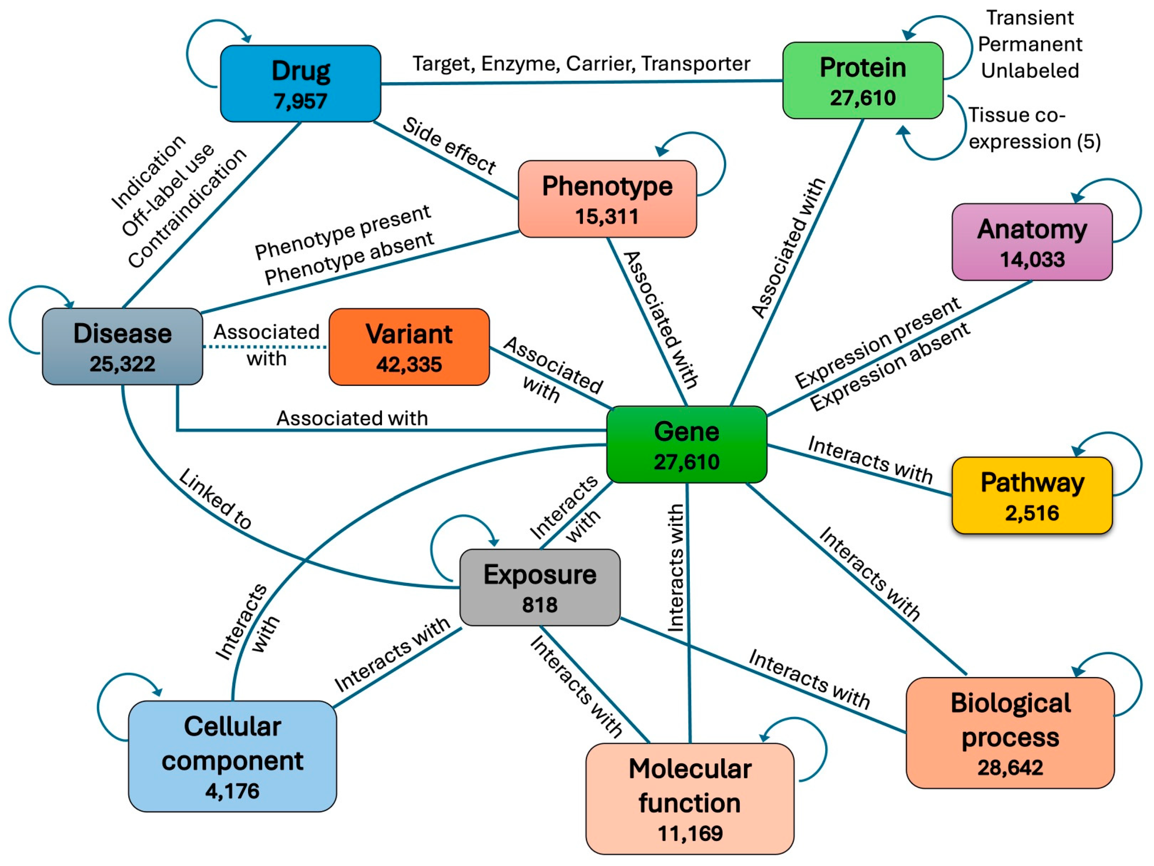Bioengineering 12 01098 g001