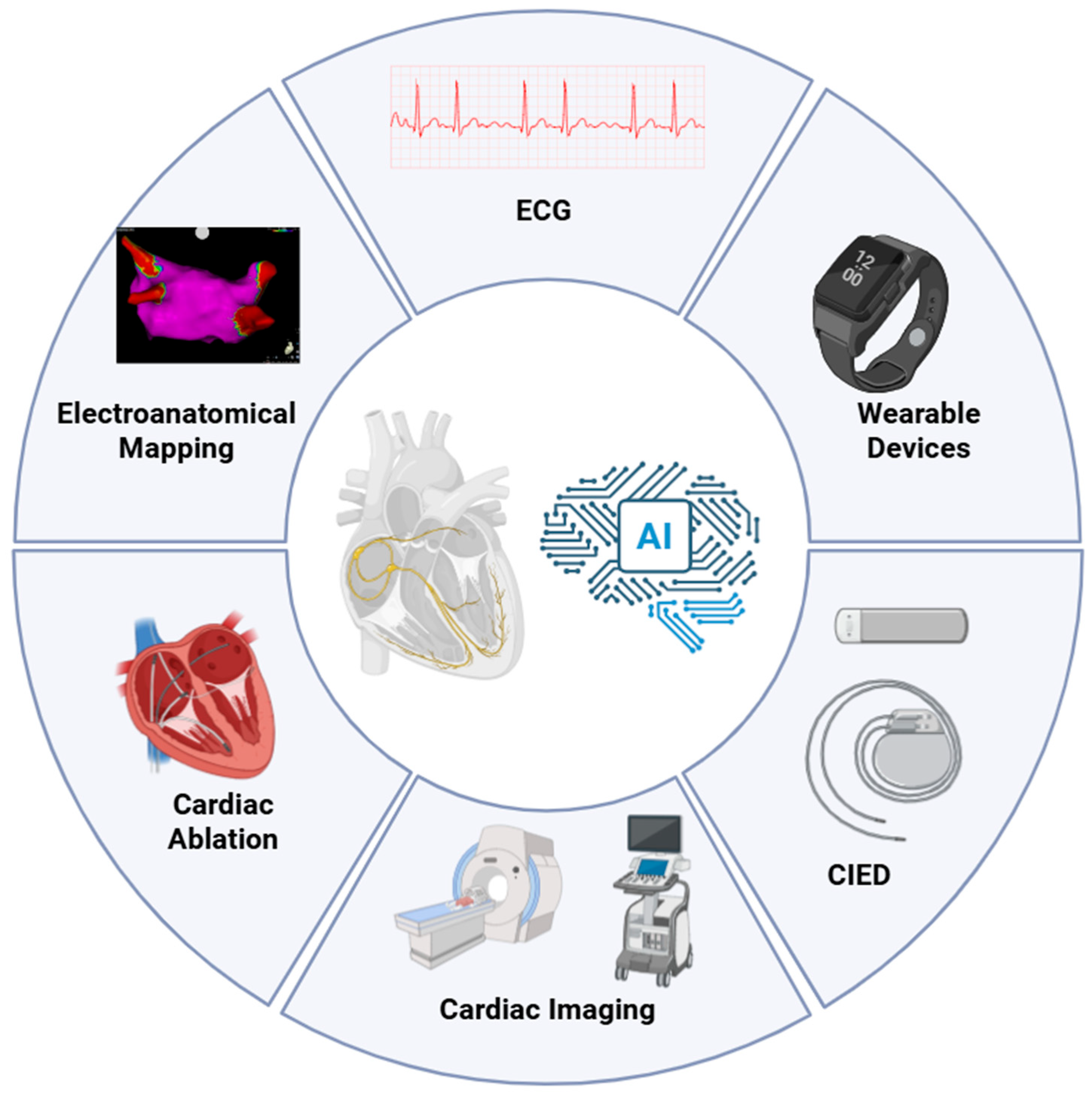 Bioengineering 12 01102 g001 Bioengineering 12 01102 g001