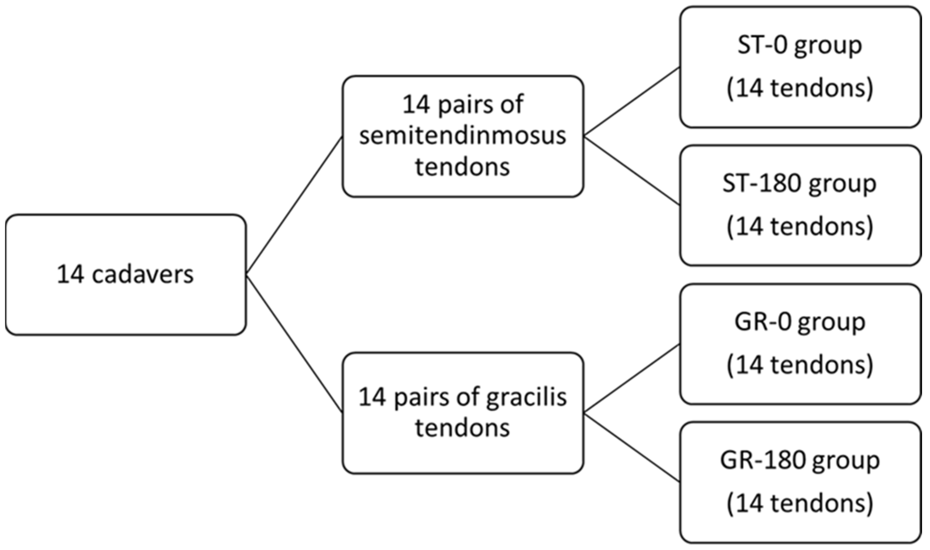 Bioengineering 12 01105 g001