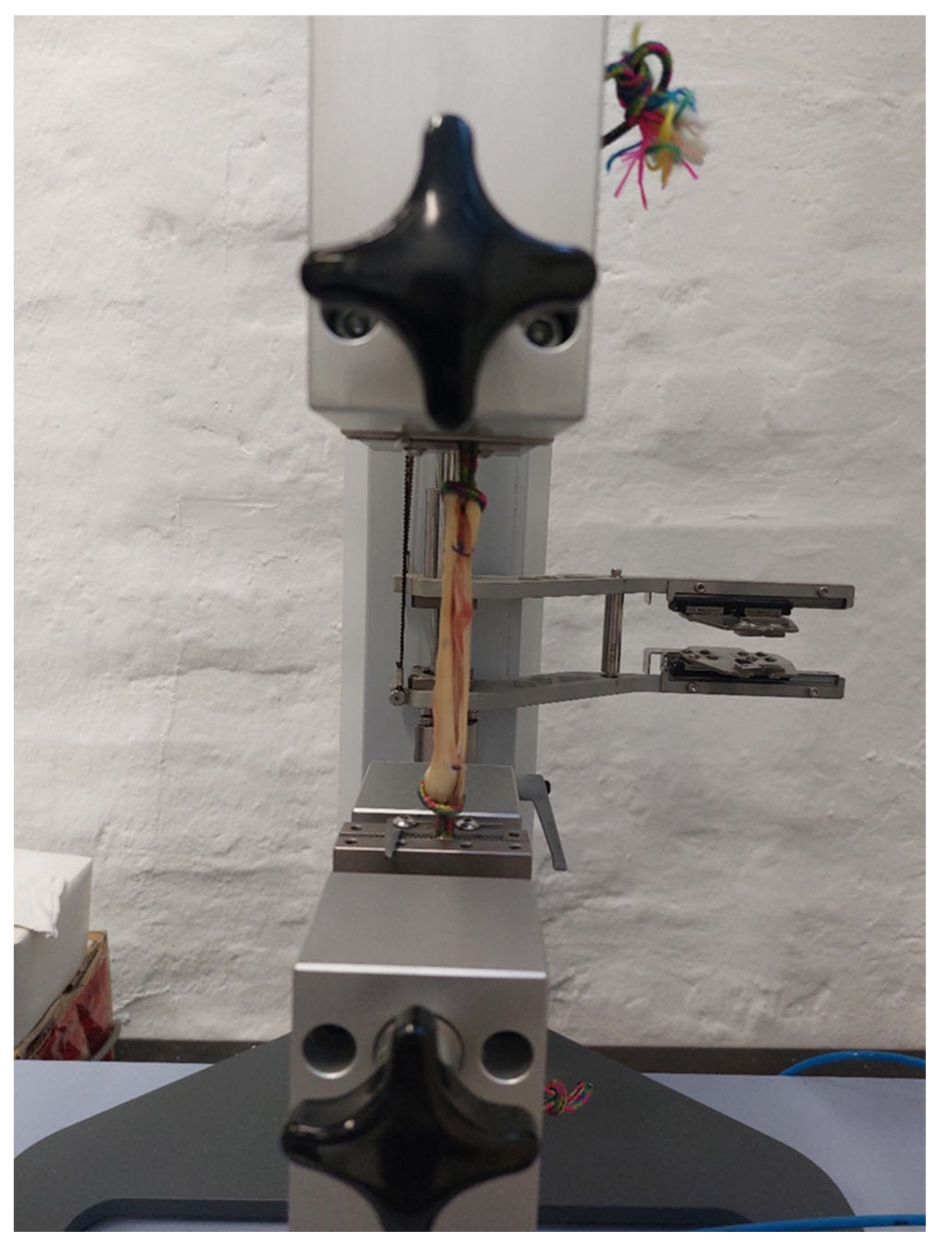 Bioengineering 12 01105 g002