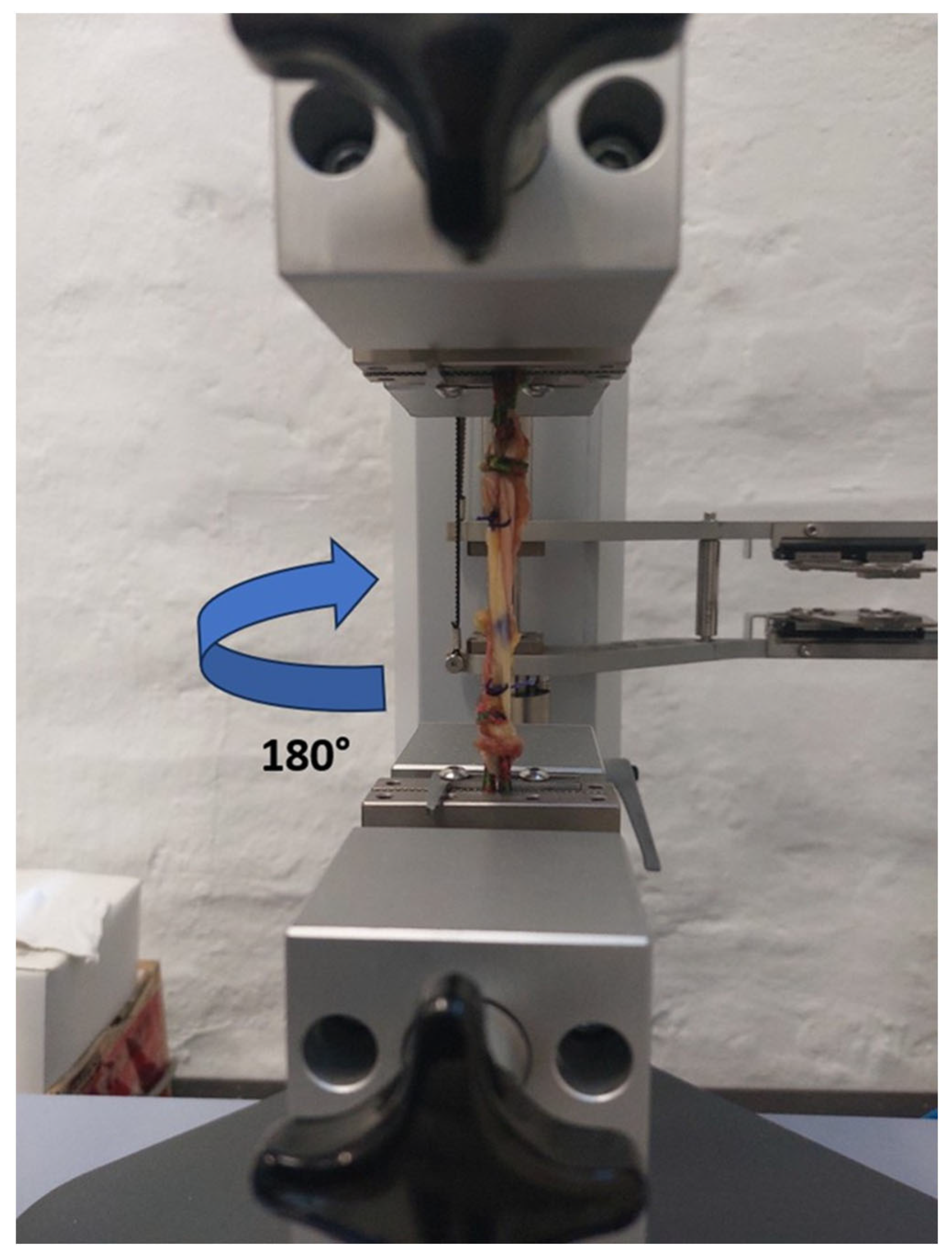 Bioengineering 12 01105 g003