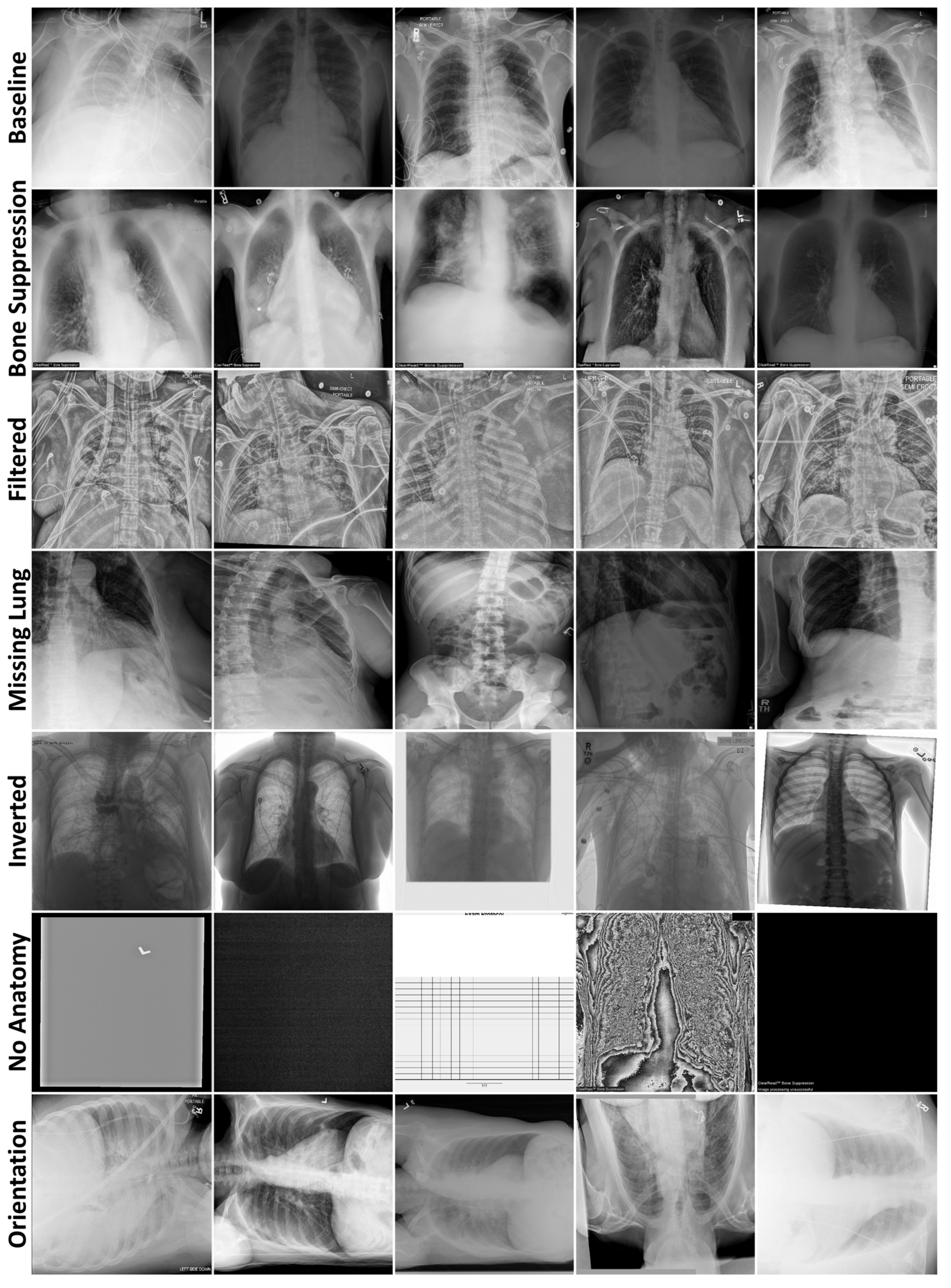 Bioengineering 12 01106 g002