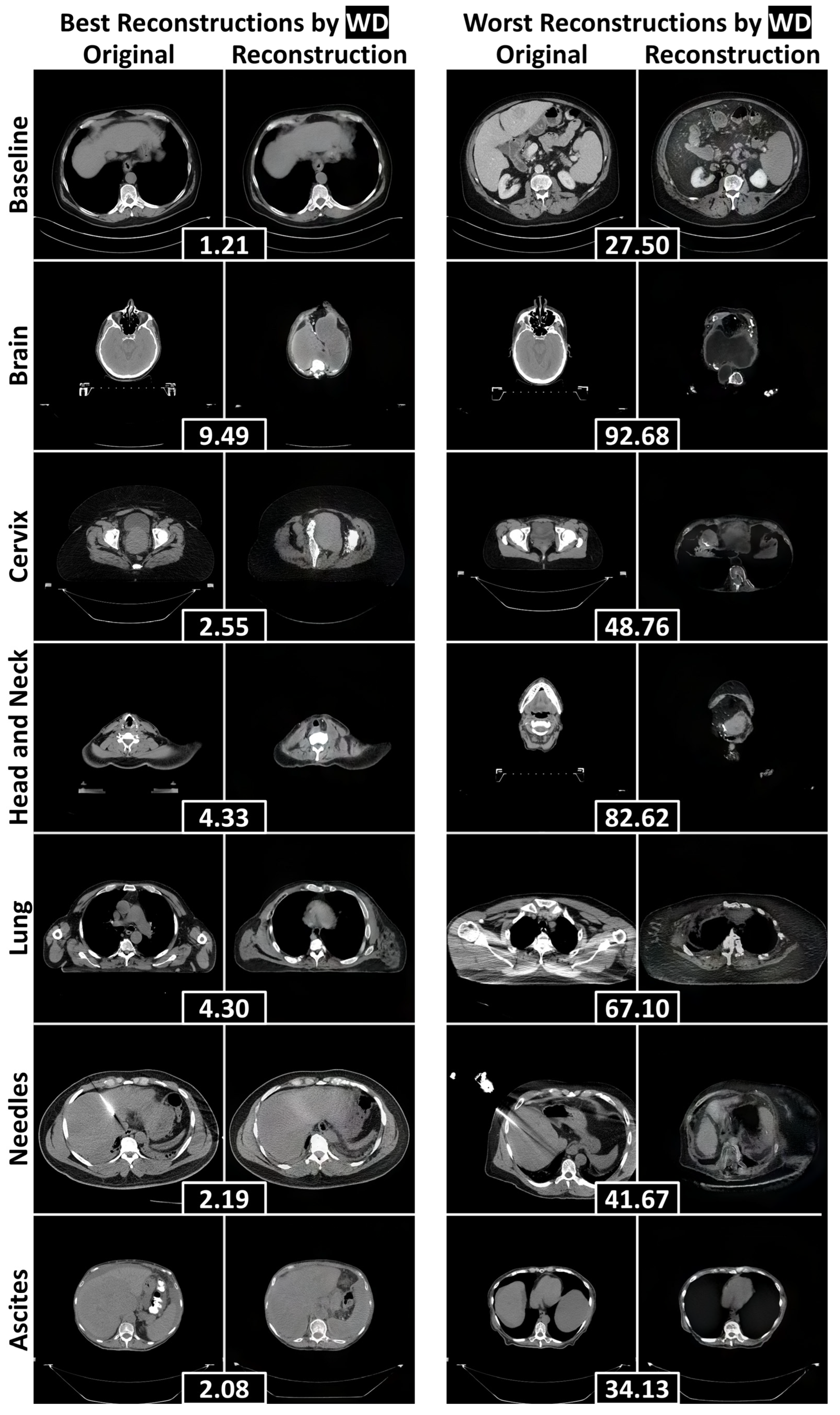 Bioengineering 12 01106 g004