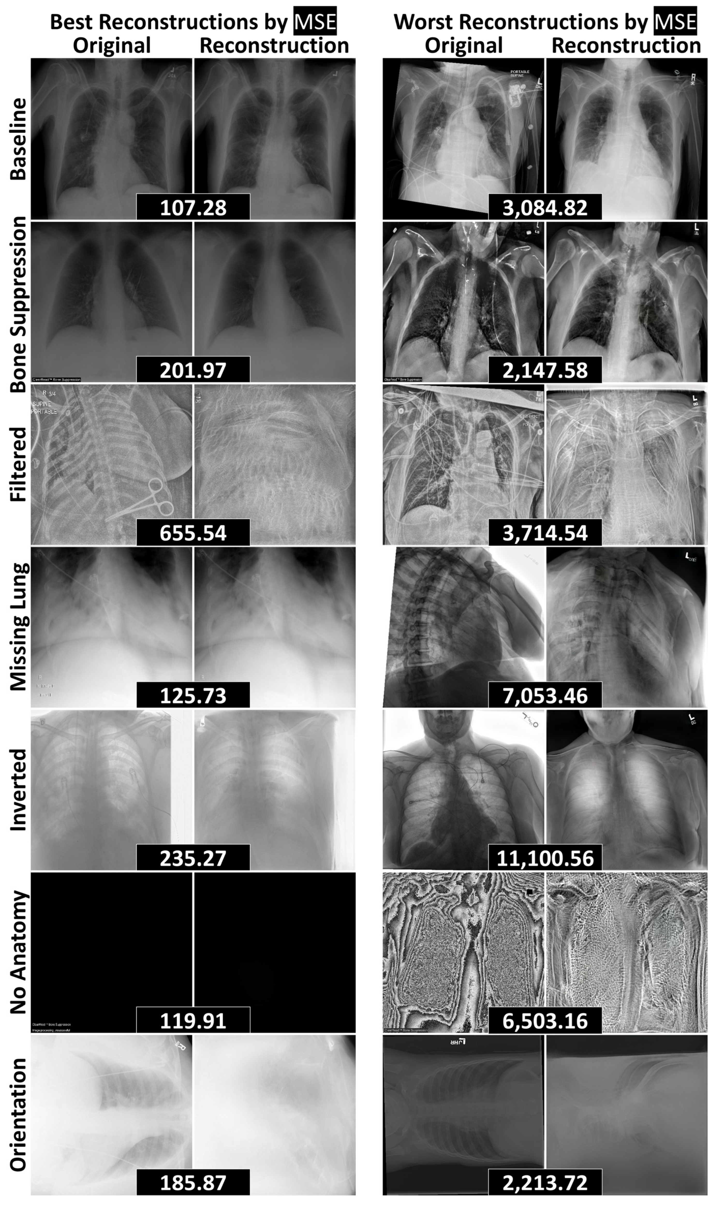 Bioengineering 12 01106 g005