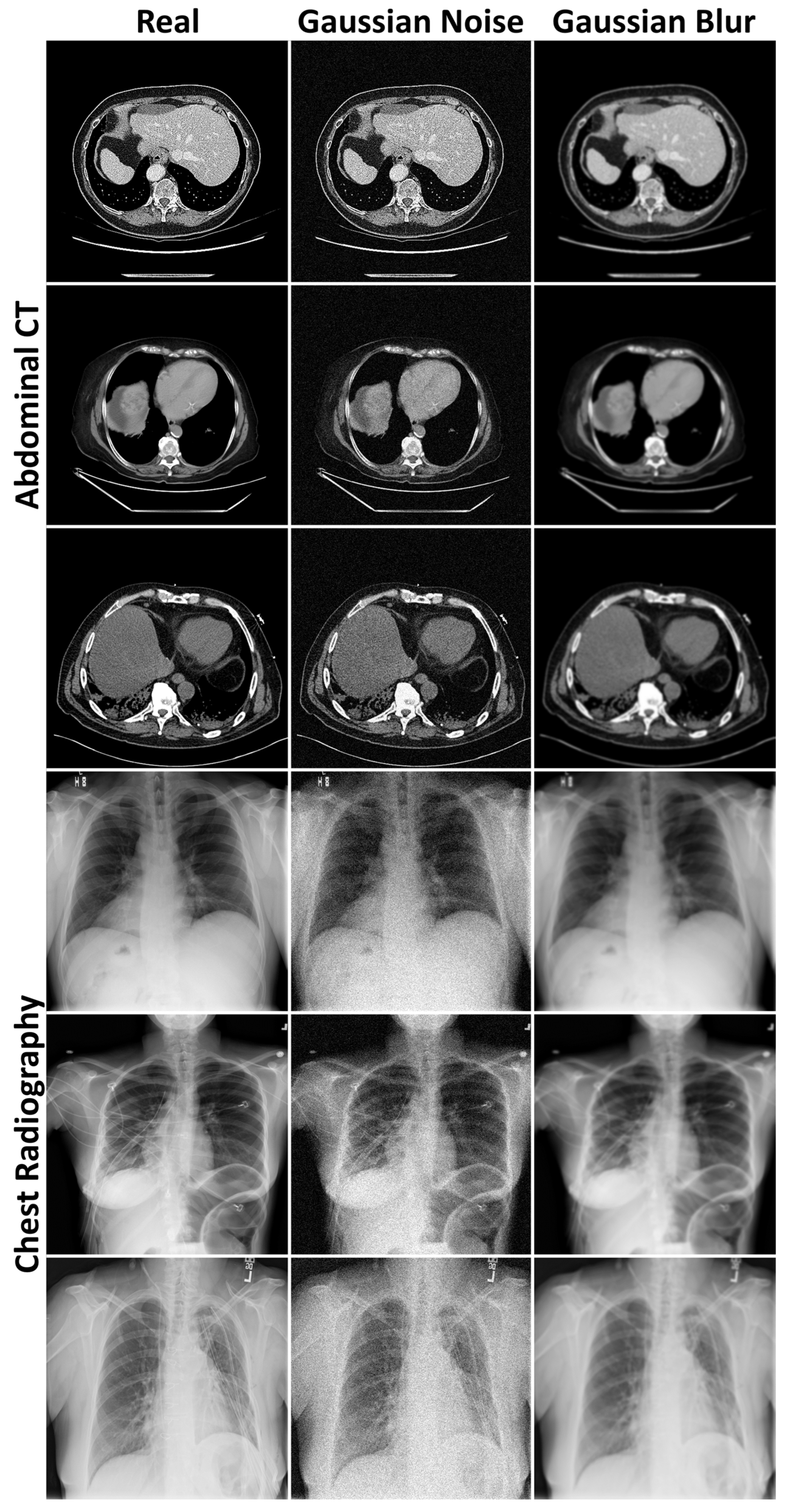 Bioengineering 12 01106 g0a2