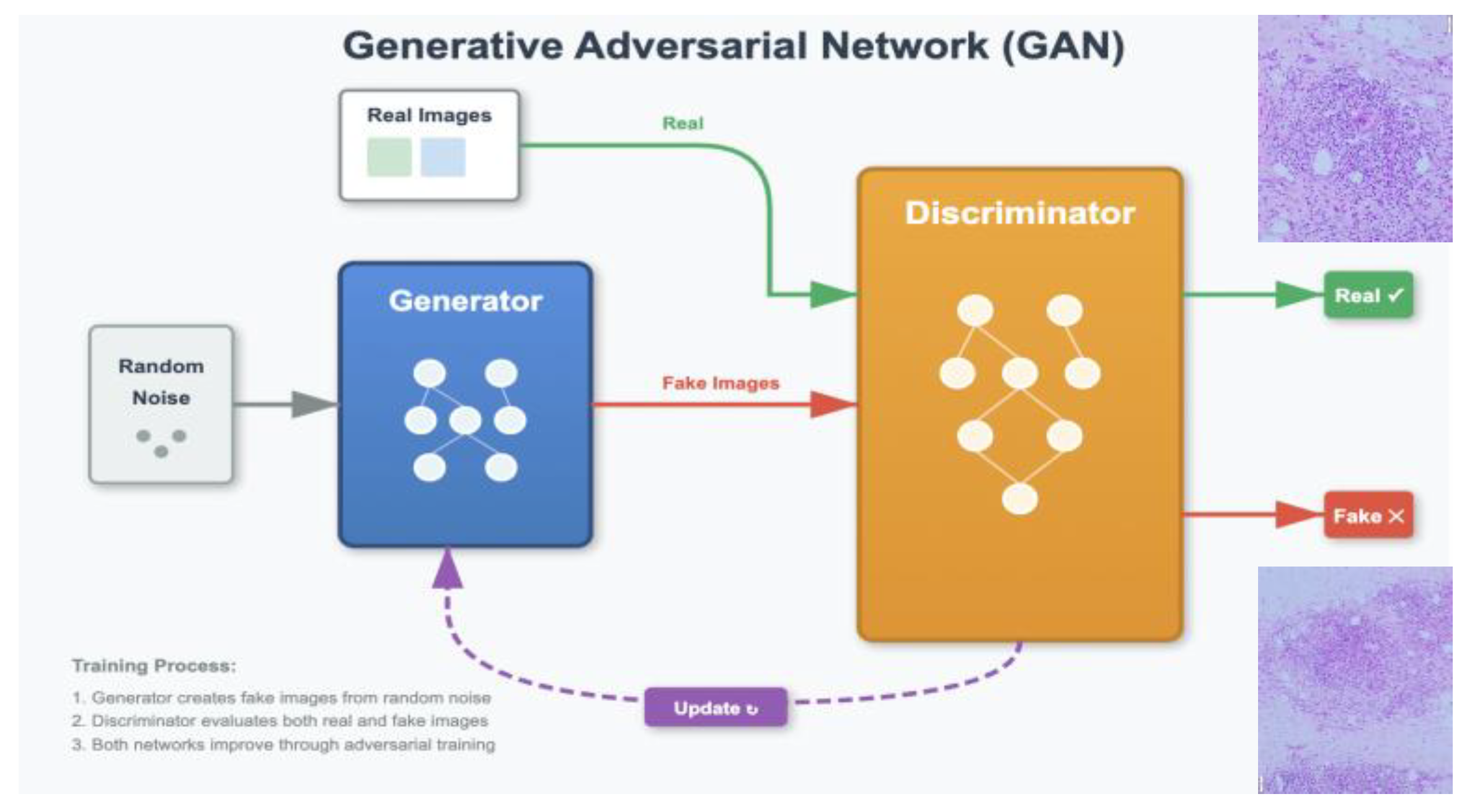 Bioengineering 12 01113 g004