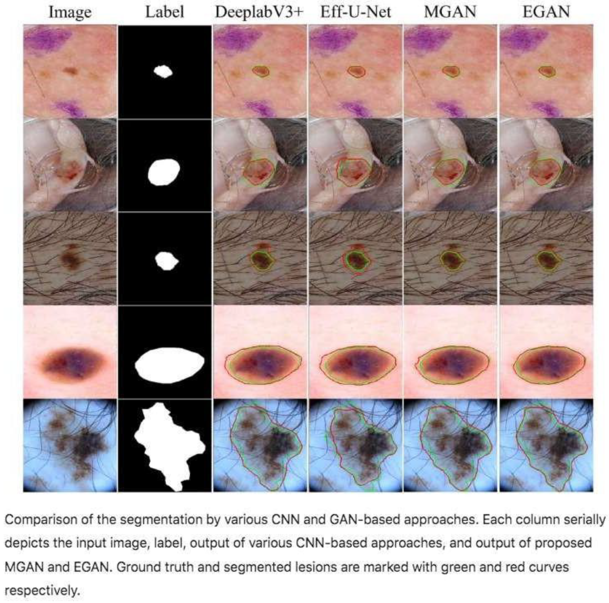 Bioengineering 12 01113 g006