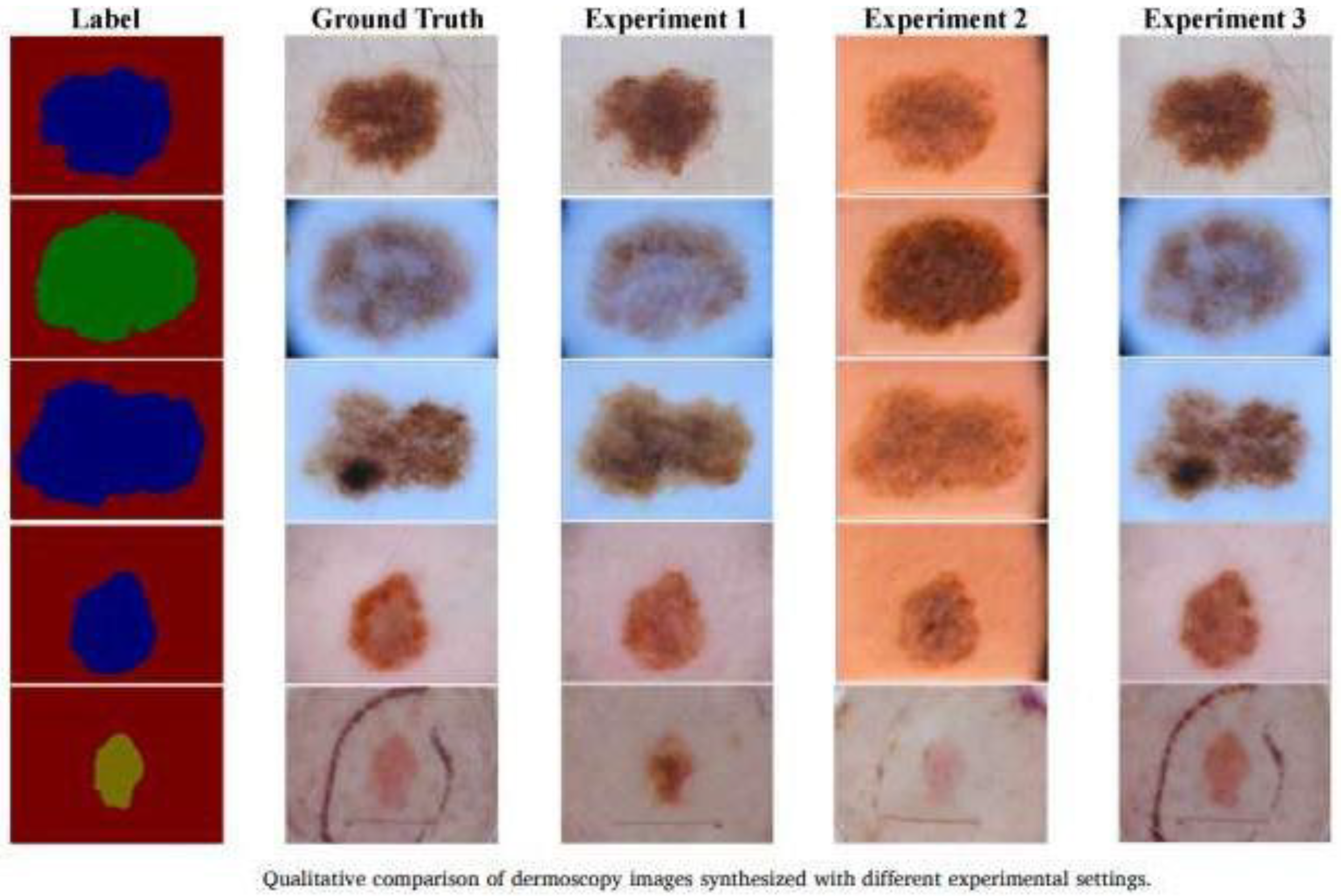 Bioengineering 12 01113 g011
