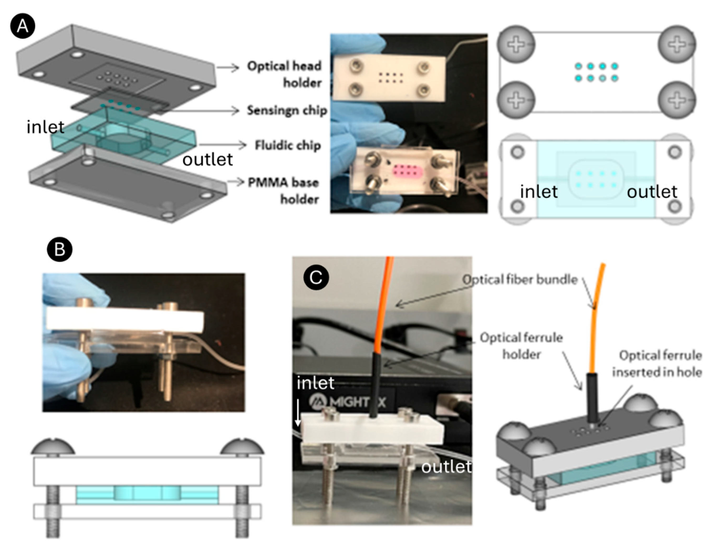 Bioengineering 12 01115 g003