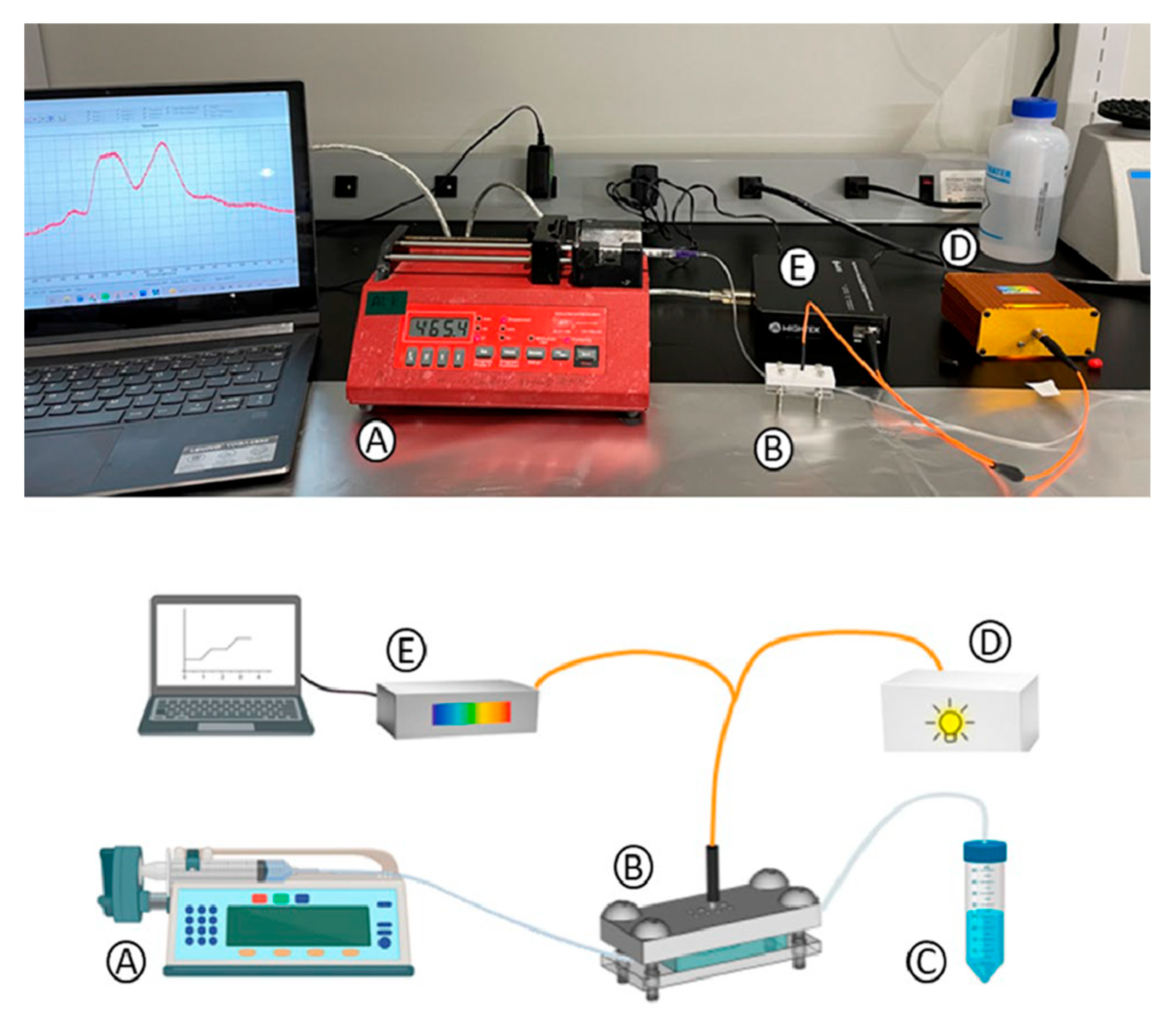 Bioengineering 12 01115 g004