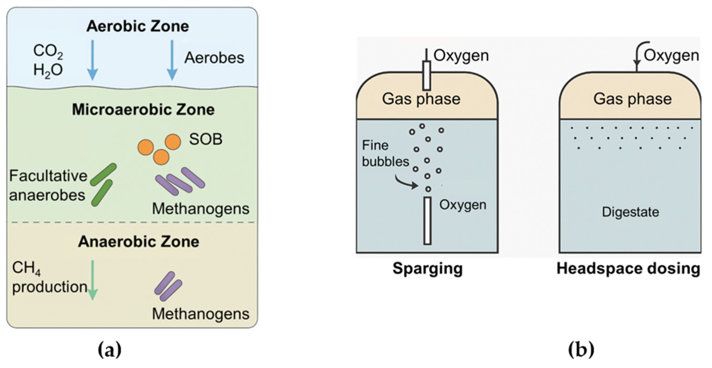 Bioengineering 12 01117 g002