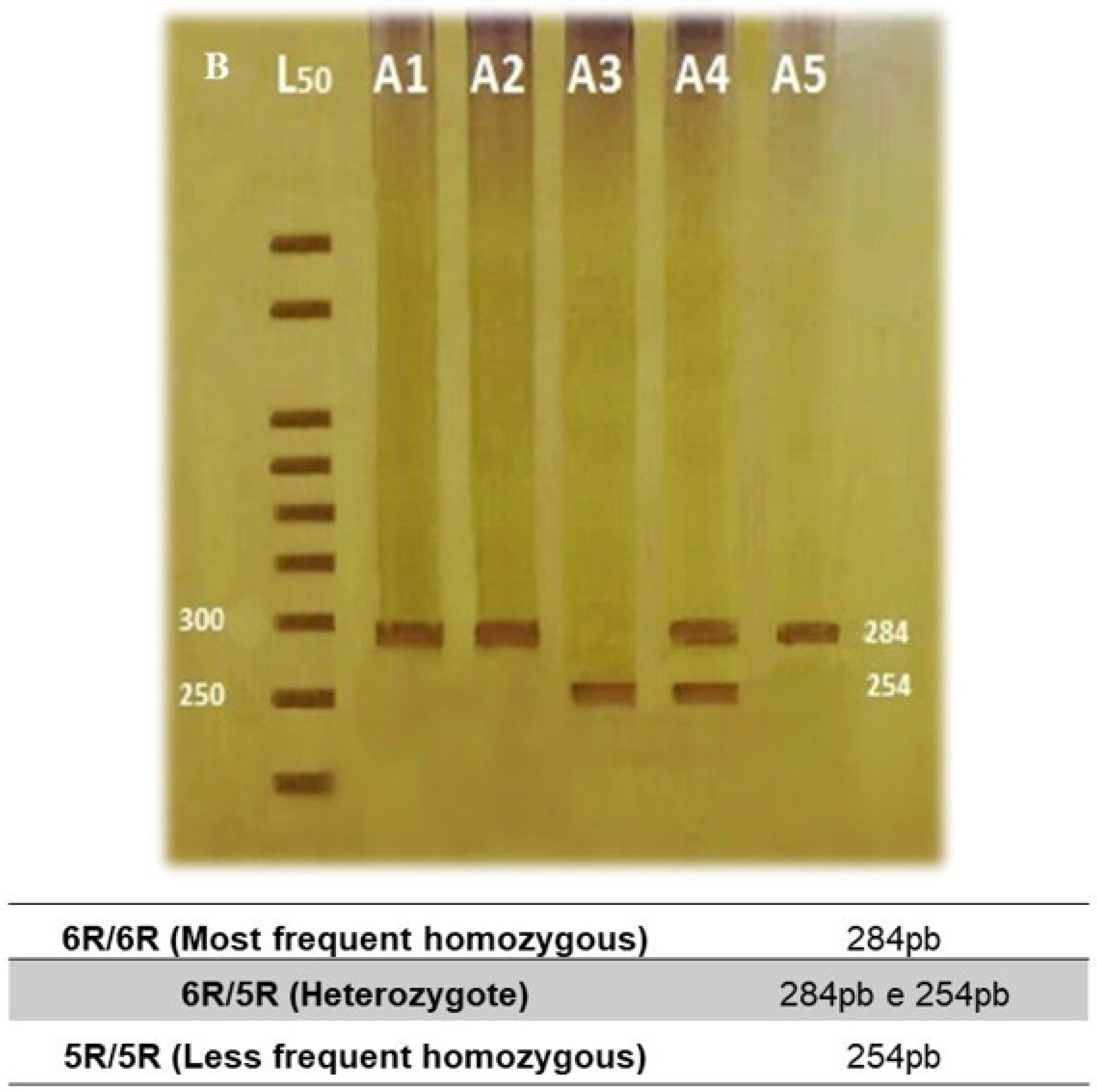 Bioengineering 12 01118 g002