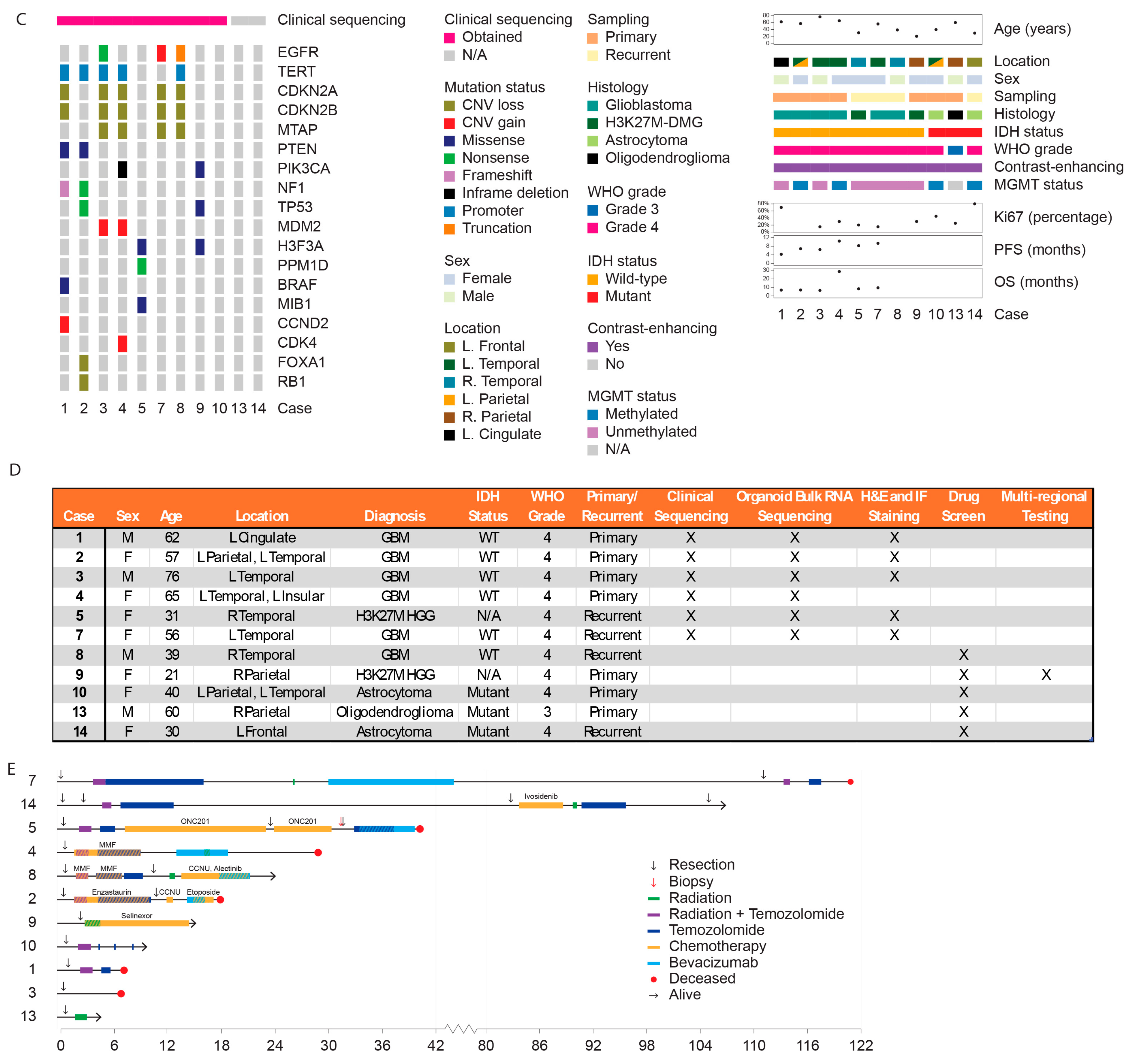 Bioengineering 12 01121 g001b Bioengineering 12 01121 g001b