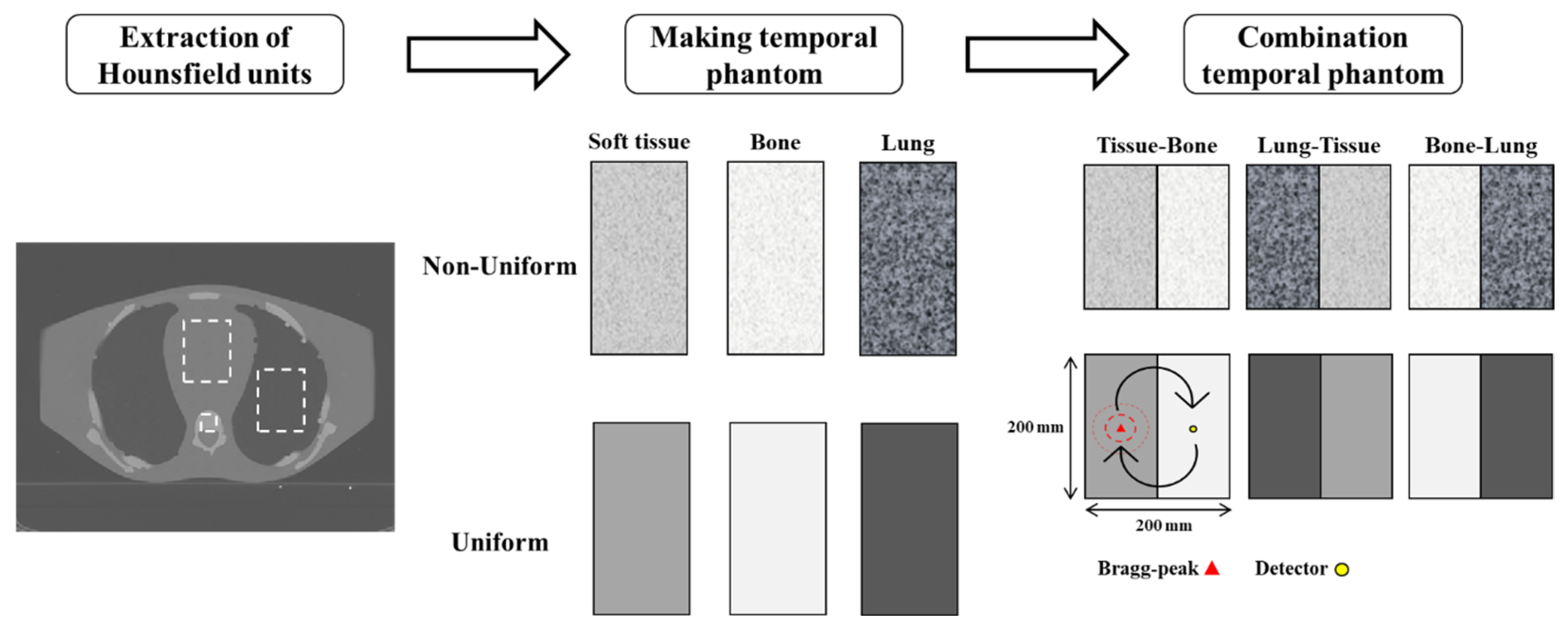 Bioengineering 12 01123 g001