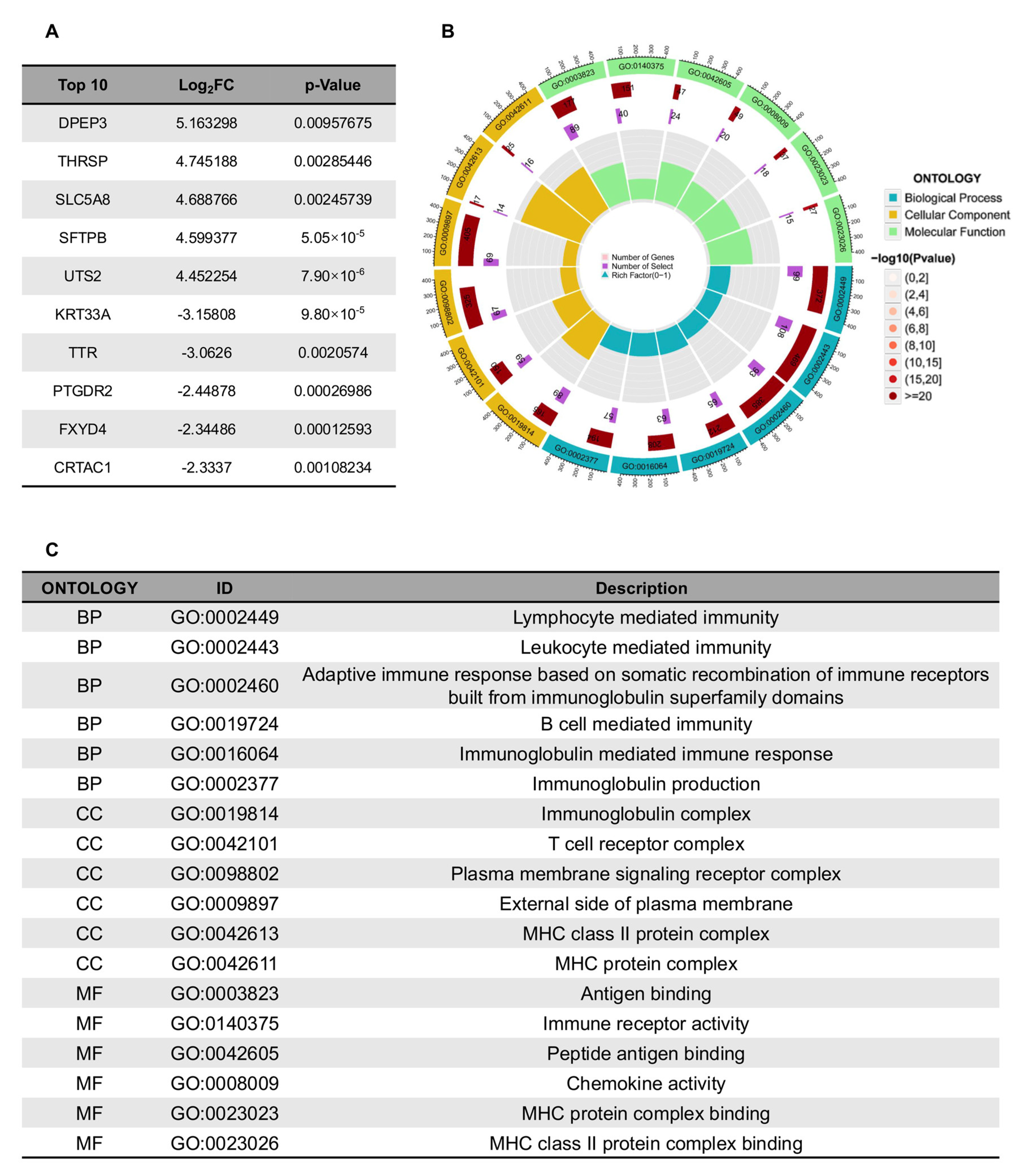 Bioengineering 12 01125 g007 Bioengineering 12 01125 g007