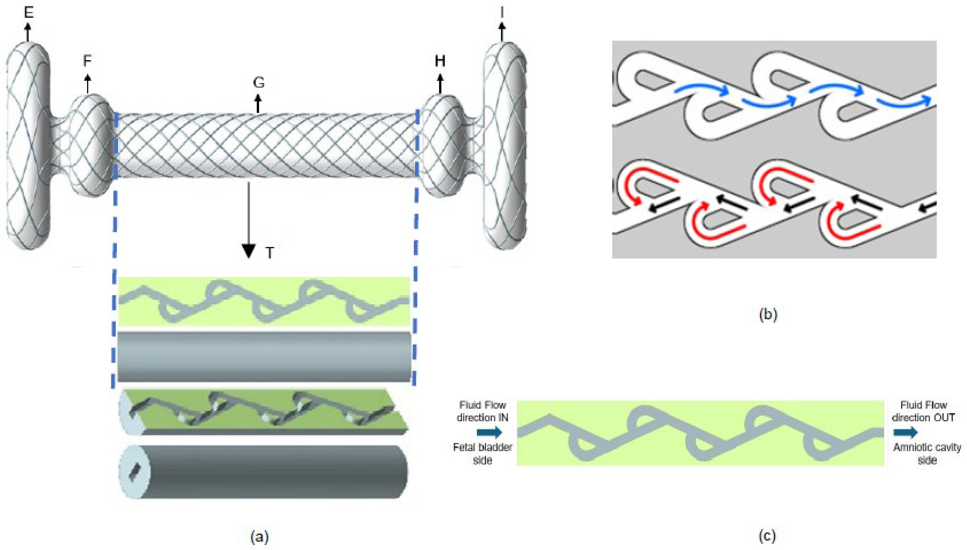 Bioengineering 12 01126 g002