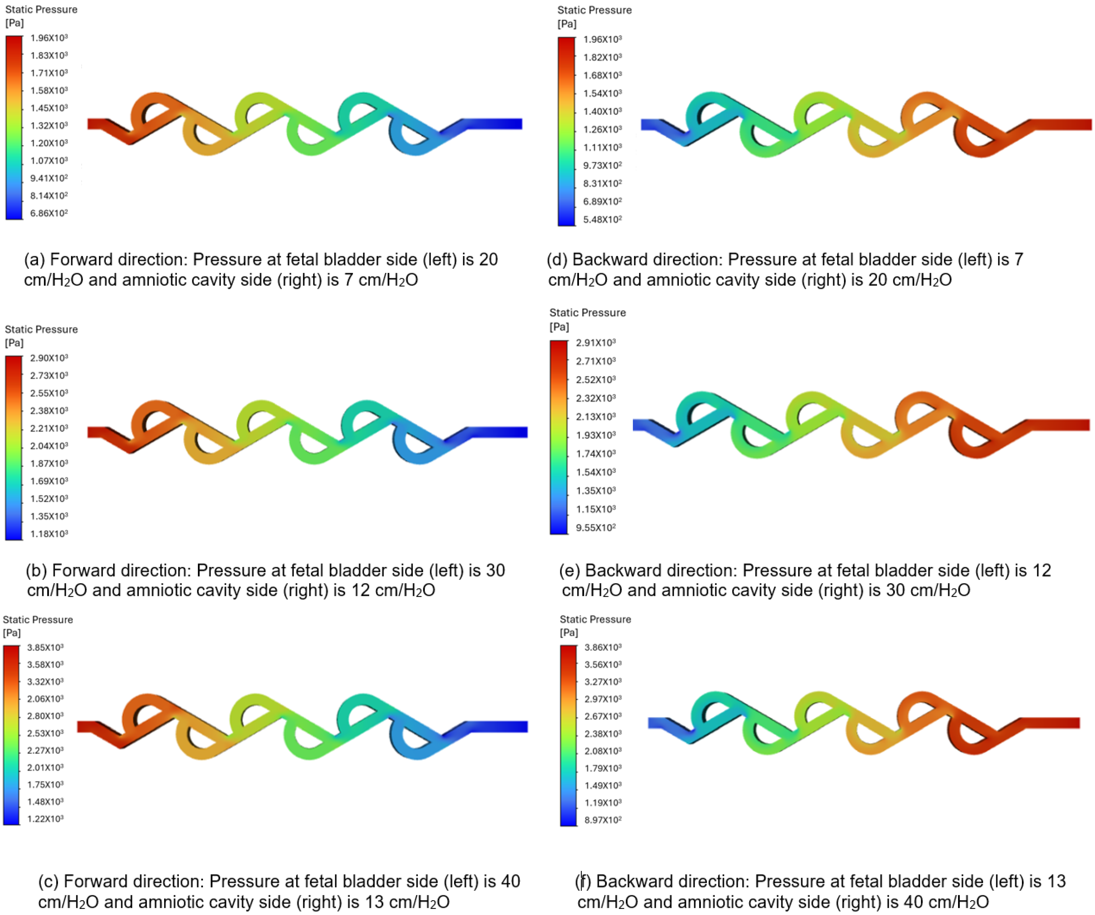Bioengineering 12 01126 g009