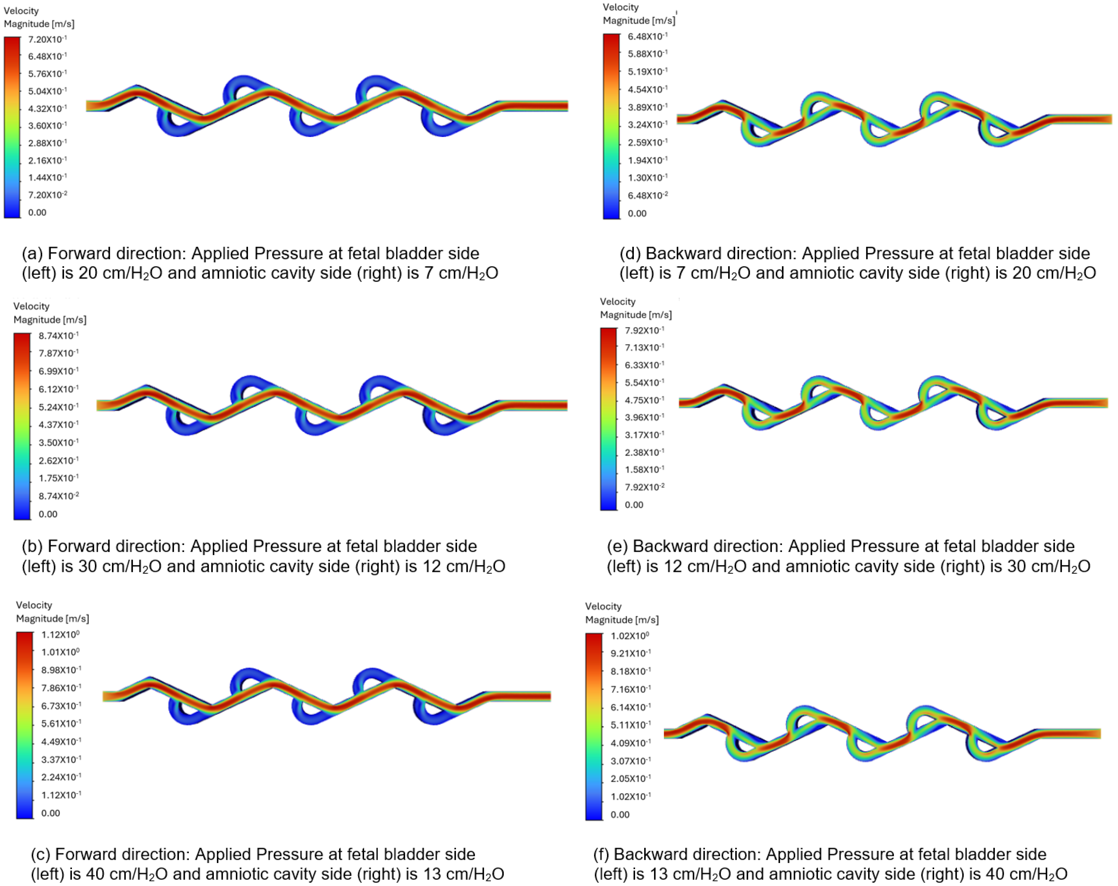 Bioengineering 12 01126 g010