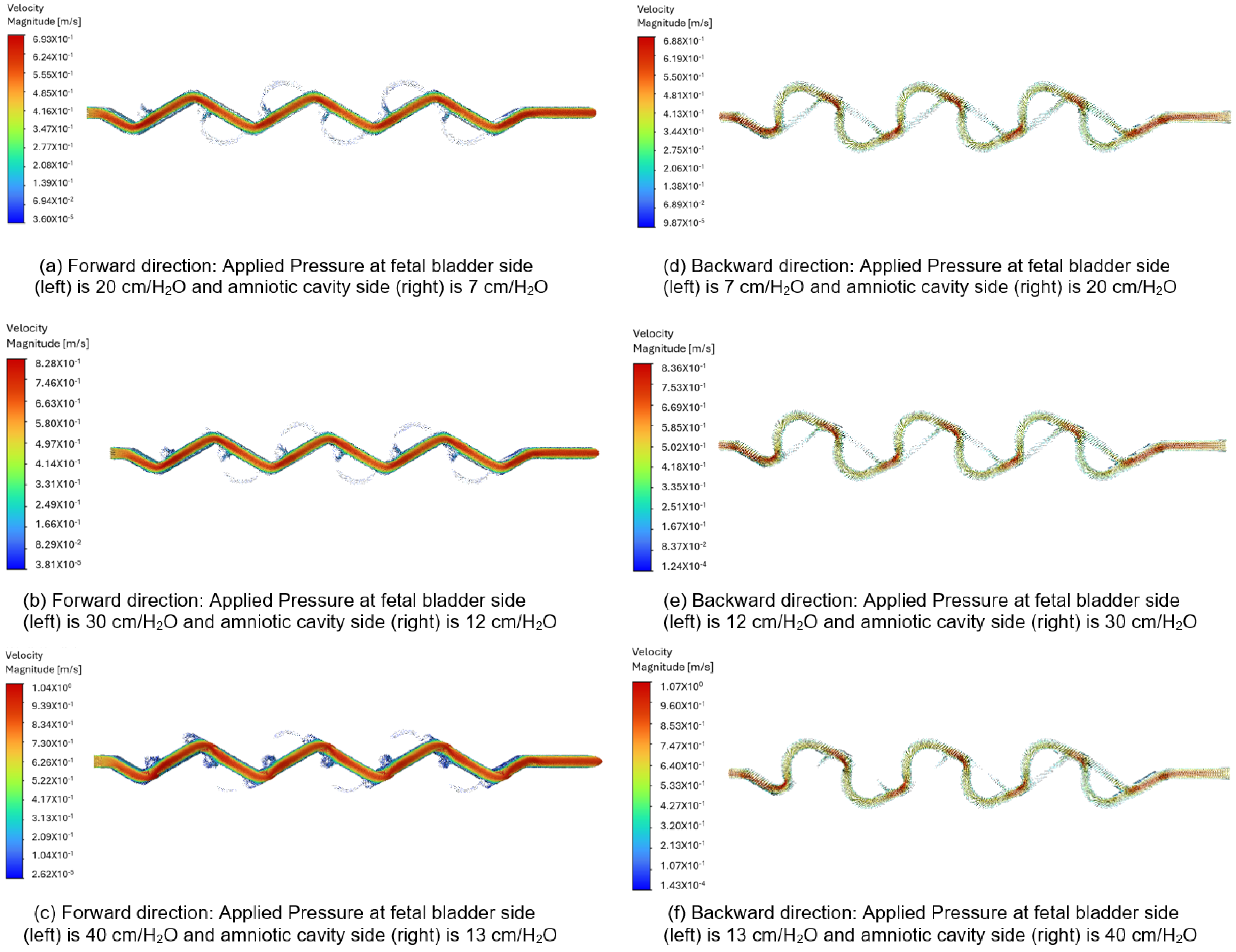 Bioengineering 12 01126 g013