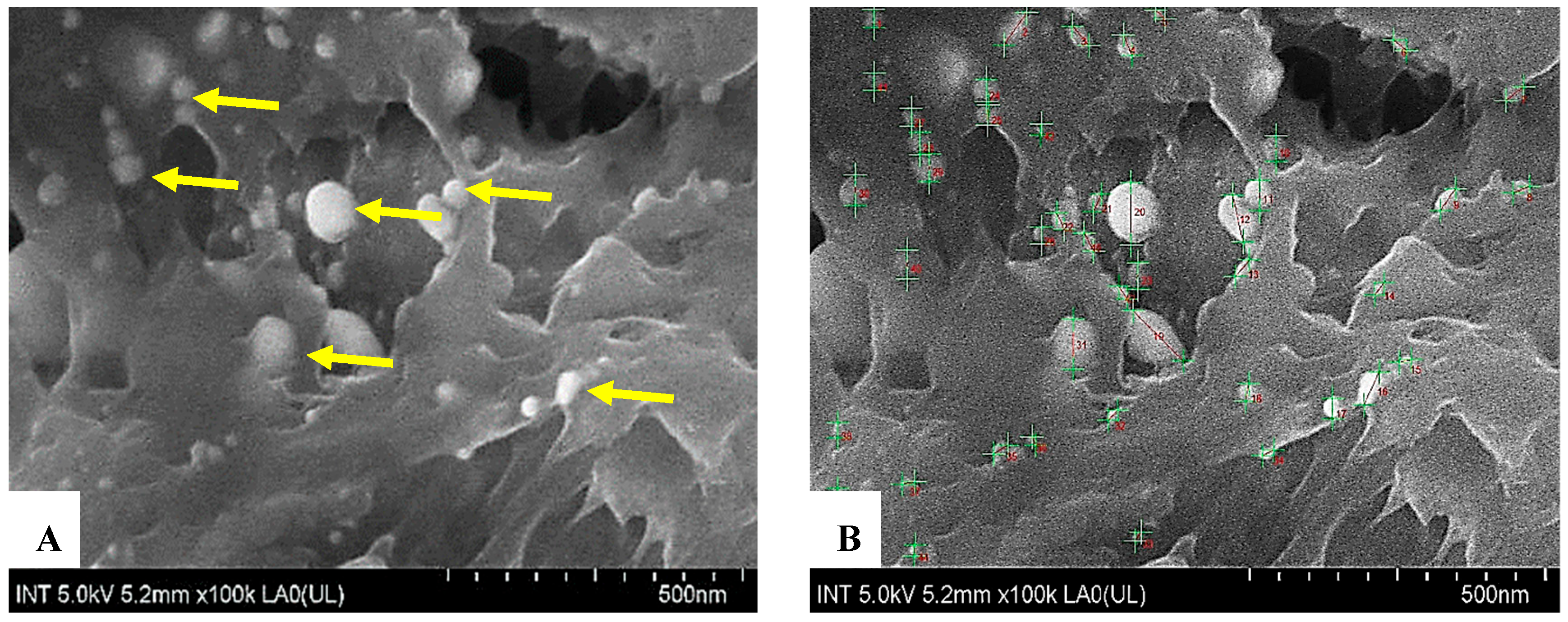 Bioengineering 12 01129 g003