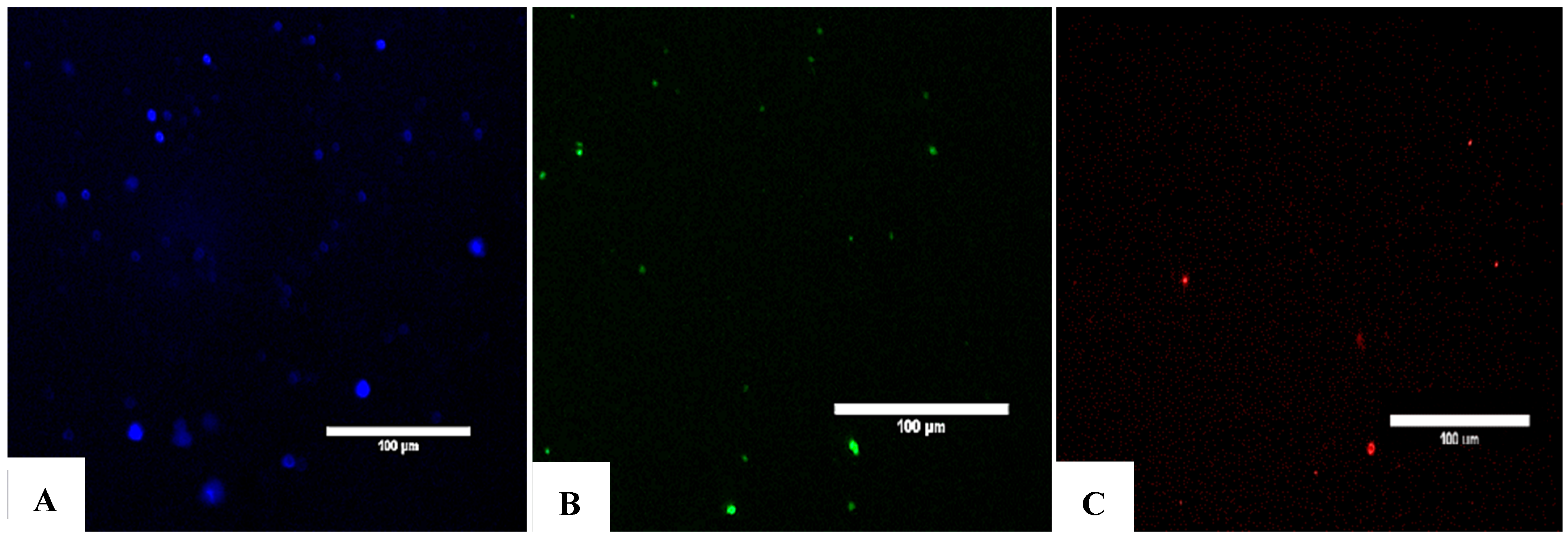 Bioengineering 12 01129 g005