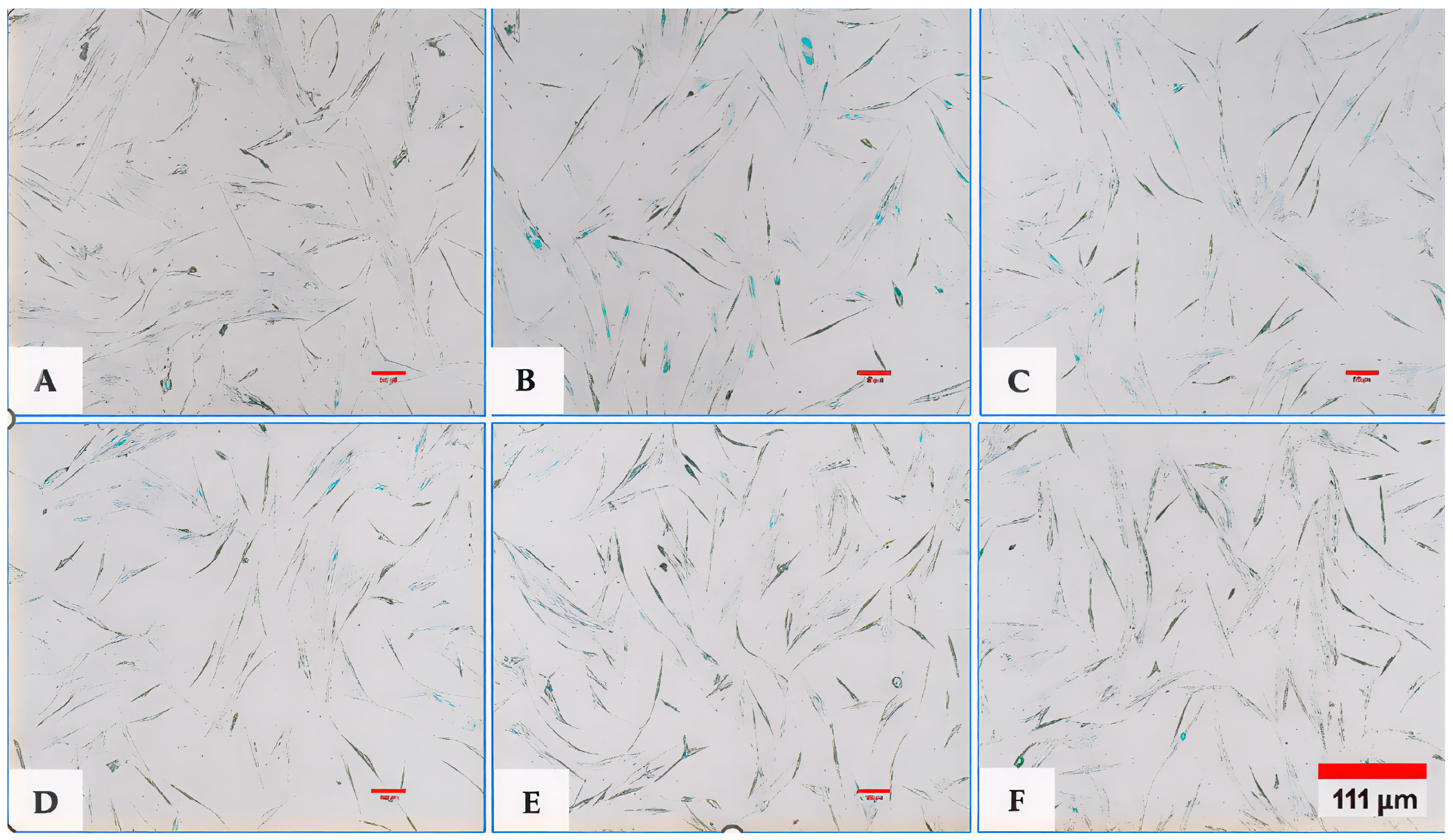 Bioengineering 12 01129 g013