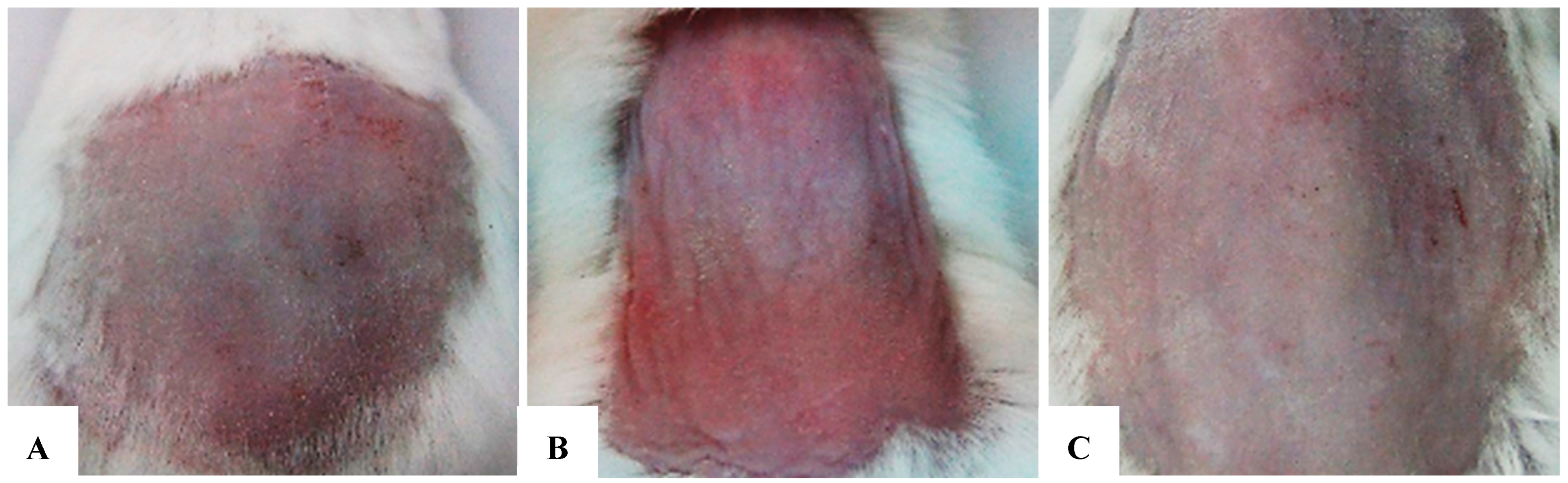 Bioengineering 12 01129 g022