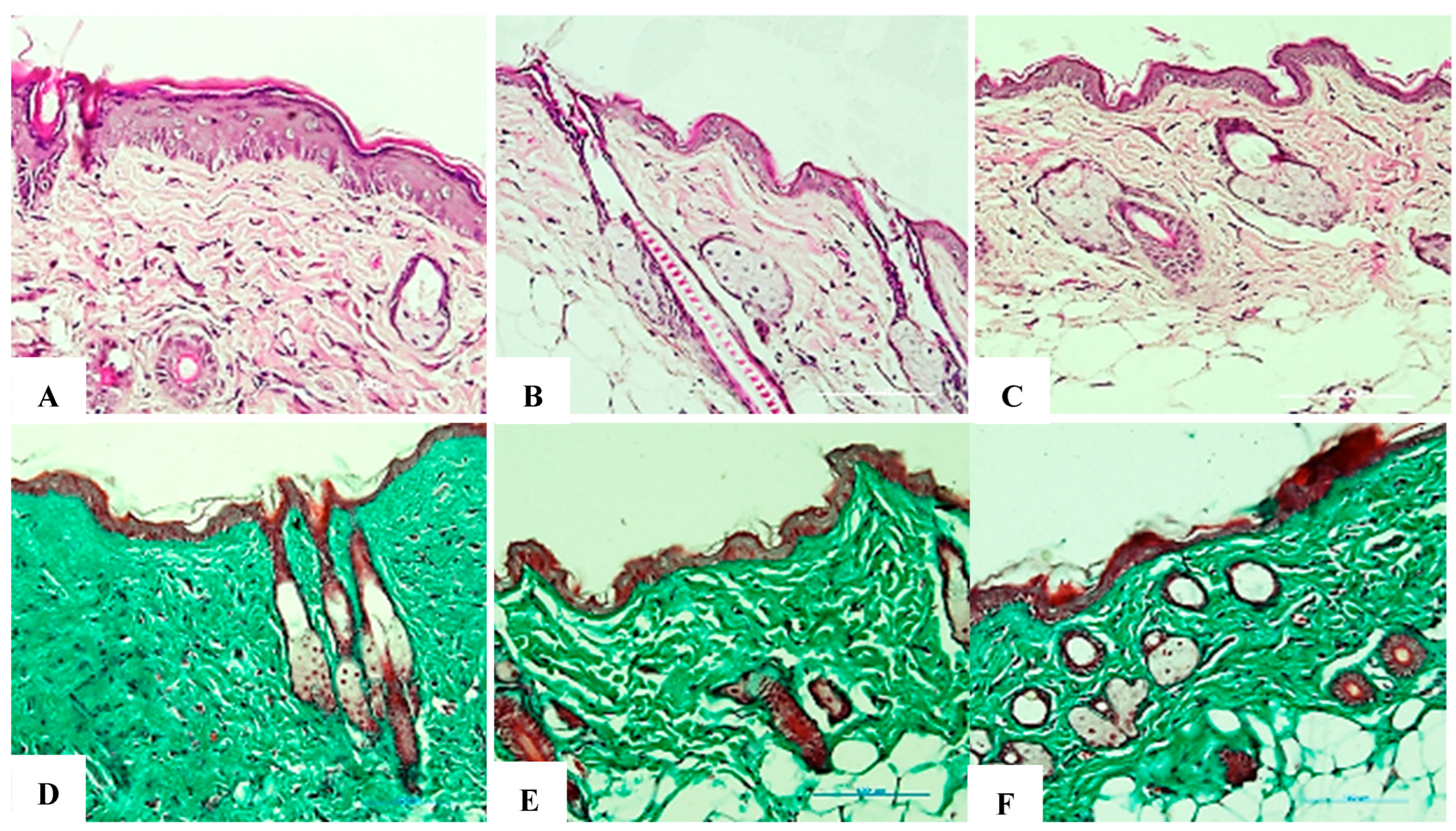 Bioengineering 12 01129 g026