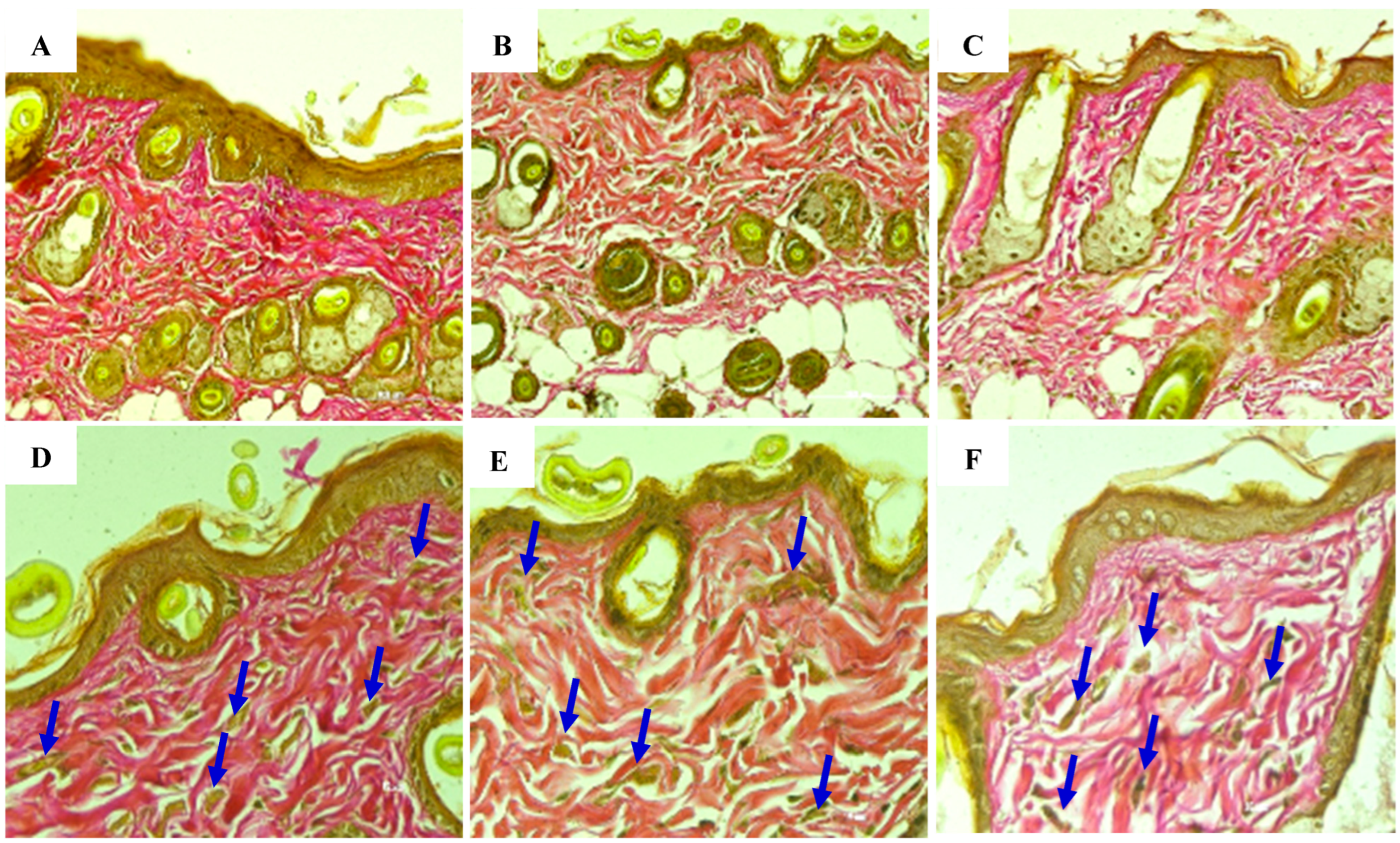 Bioengineering 12 01129 g027