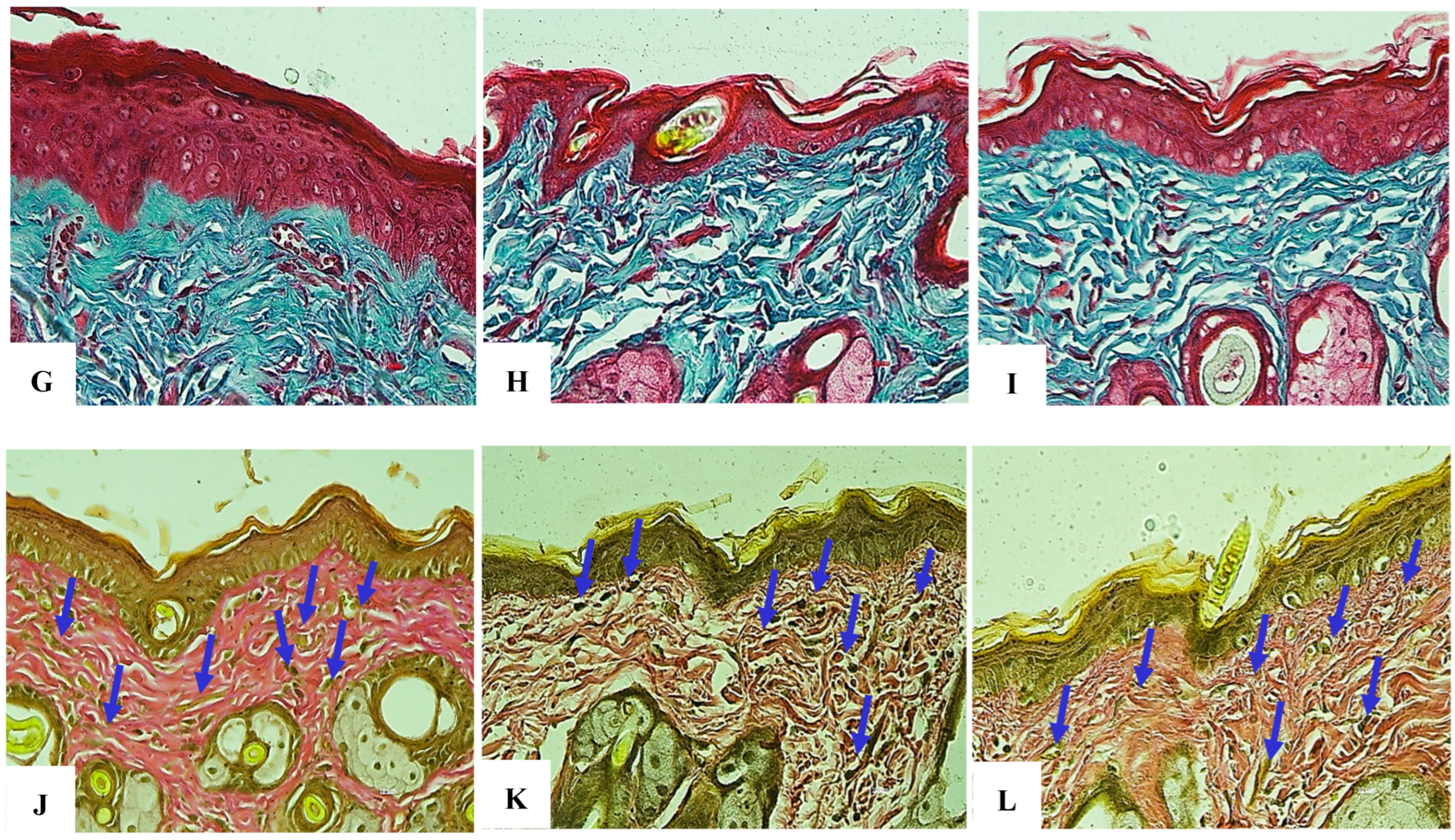 Bioengineering 12 01129 g028b