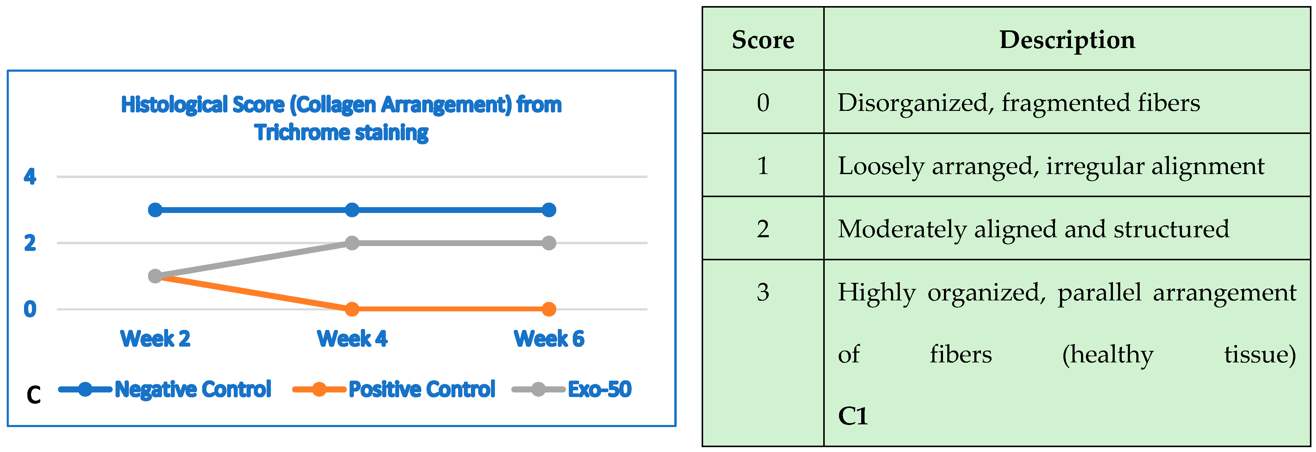 Bioengineering 12 01129 g029b