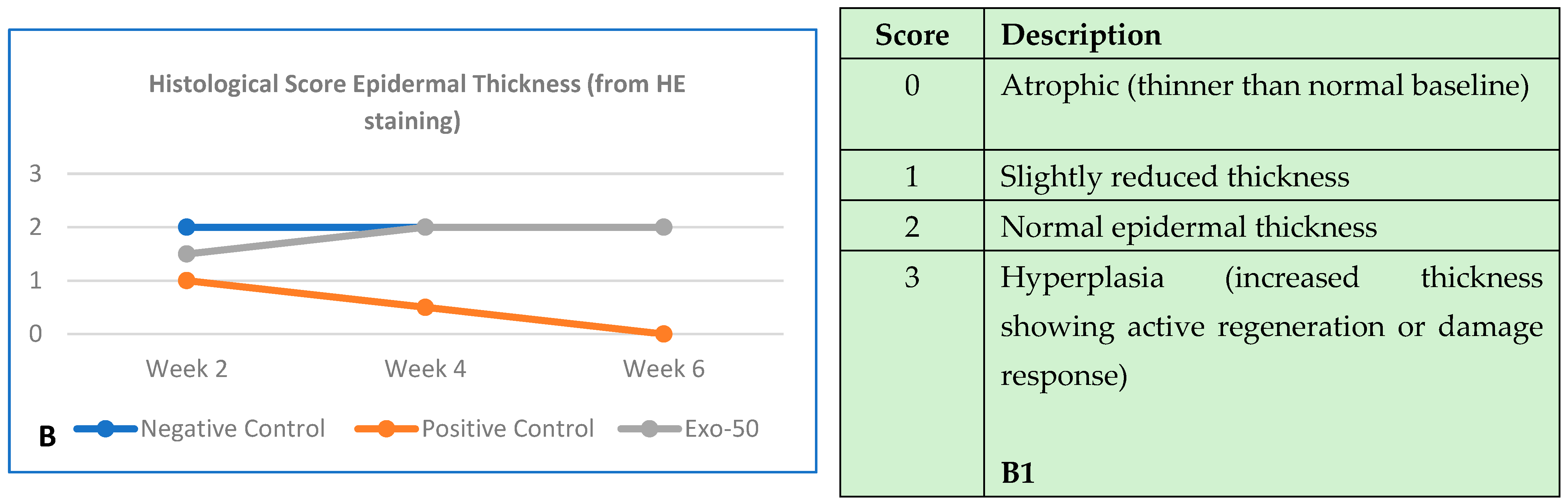 Bioengineering 12 01129 g030b