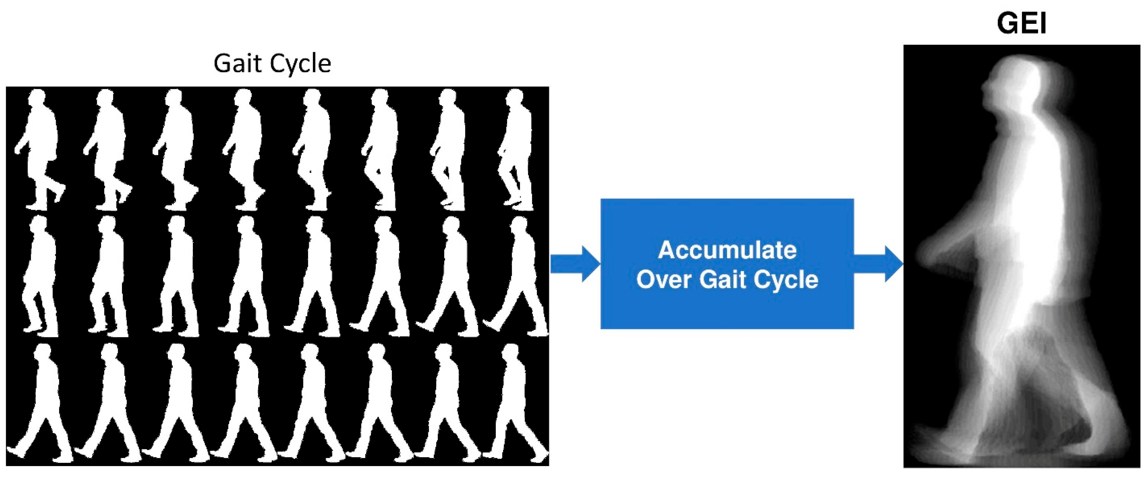 Bioengineering 12 01130 g004