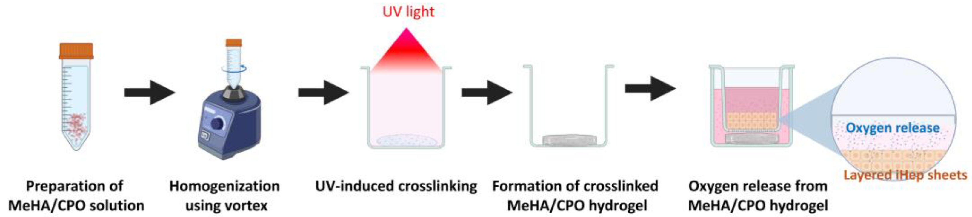 Bioengineering 12 01132 g001 Bioengineering 12 01132 g001
