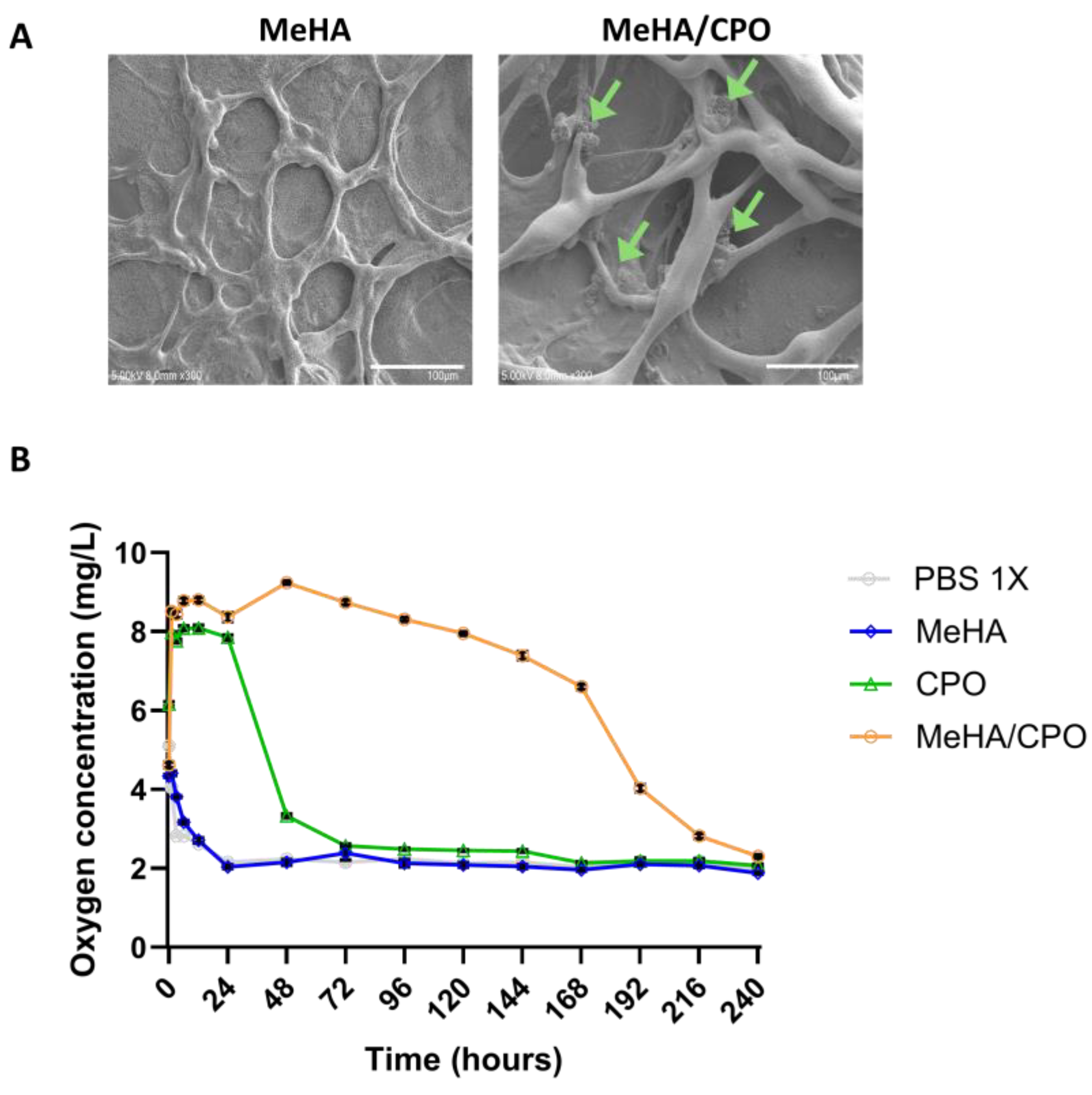 Bioengineering 12 01132 g004 Bioengineering 12 01132 g004