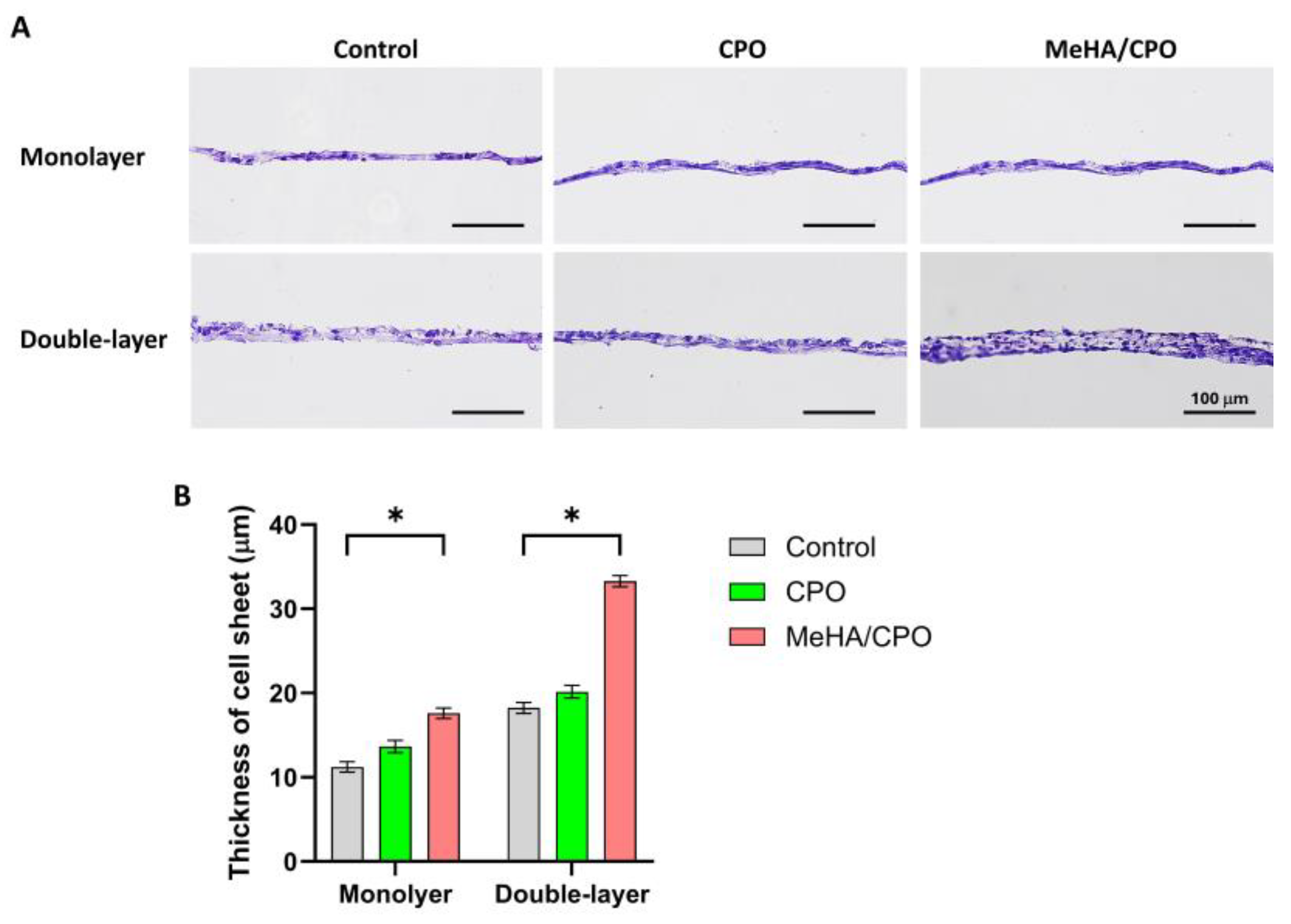 Bioengineering 12 01132 g006 Bioengineering 12 01132 g006