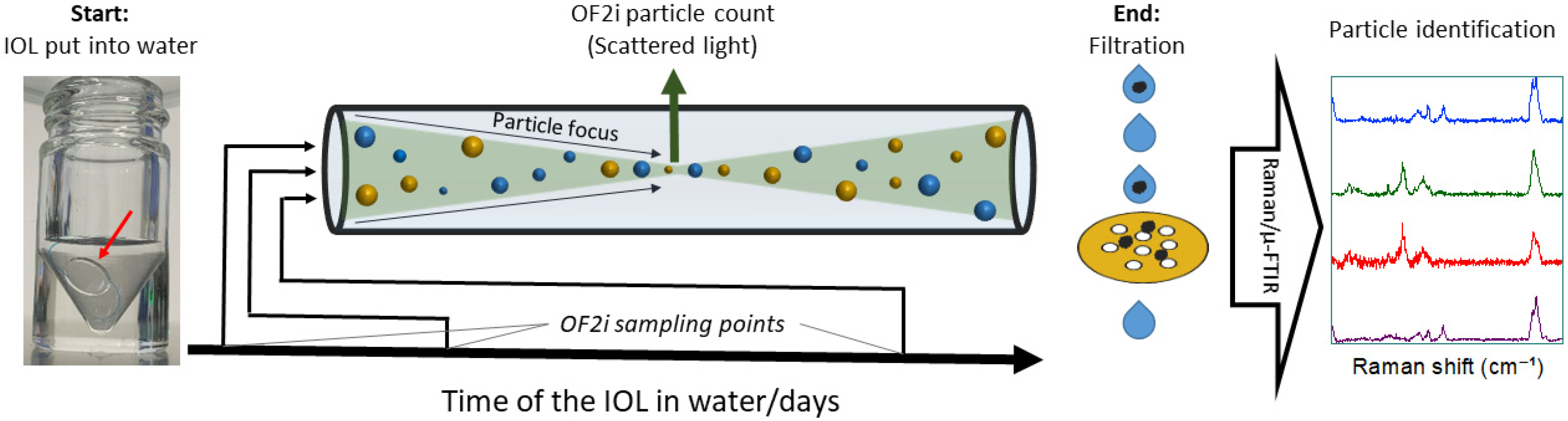 Bioengineering 12 01138 g001