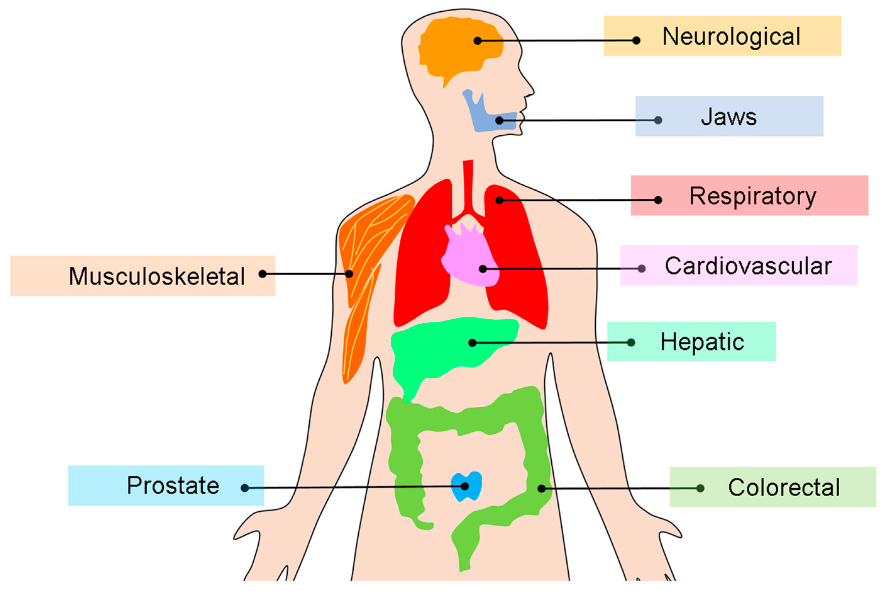 Bioengineering 12 01139 g005
