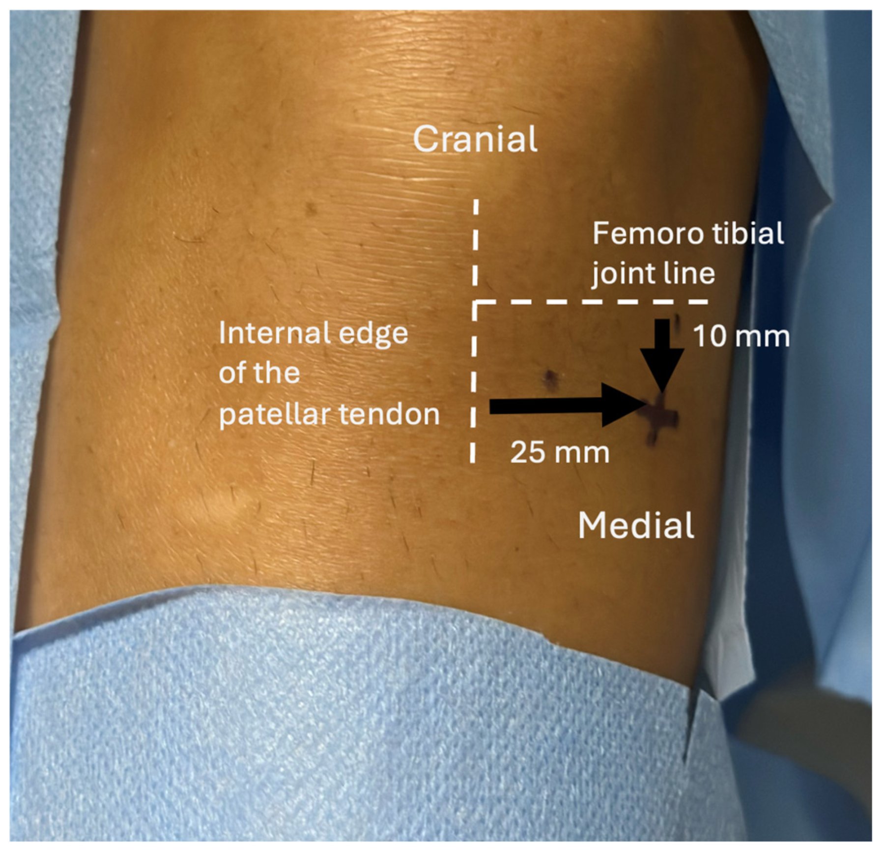 Bioengineering 12 01150 g001 Bioengineering 12 01150 g001