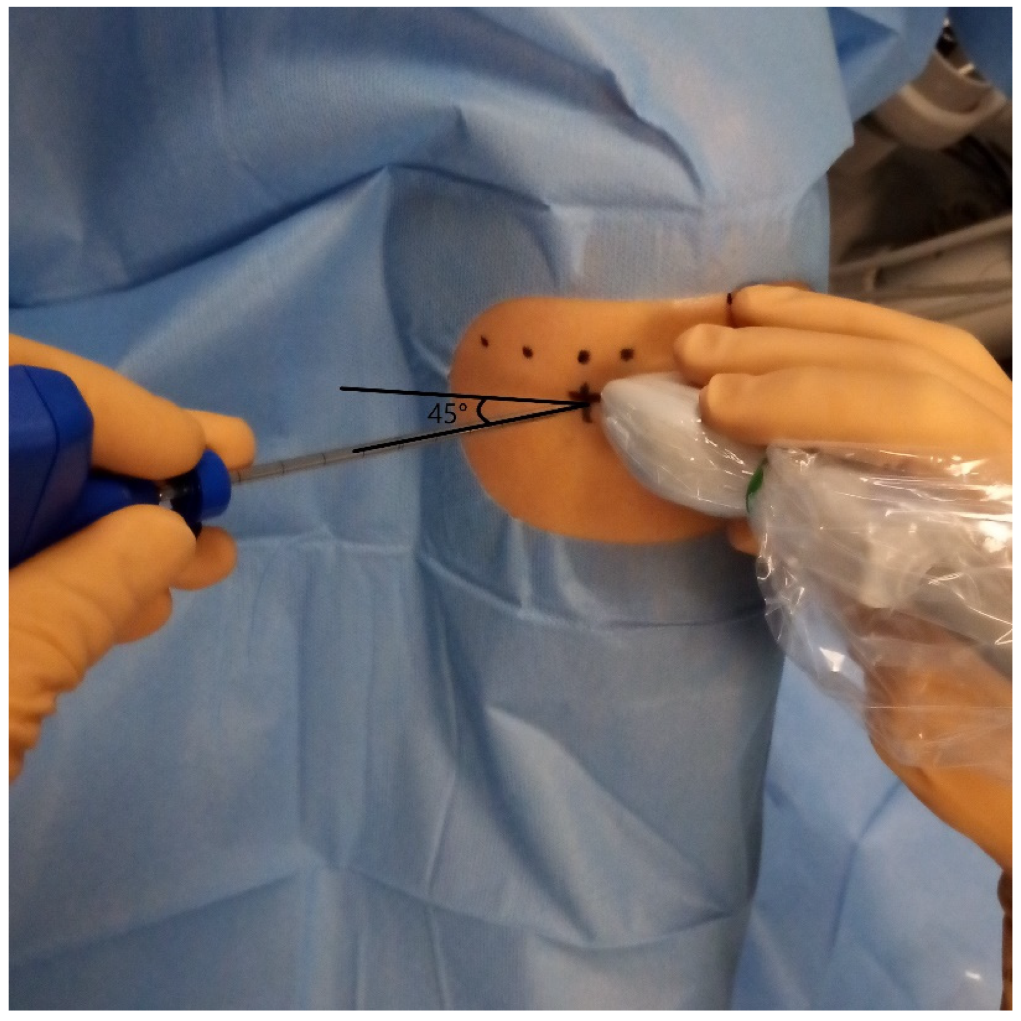 Bioengineering 12 01150 g002 Bioengineering 12 01150 g002