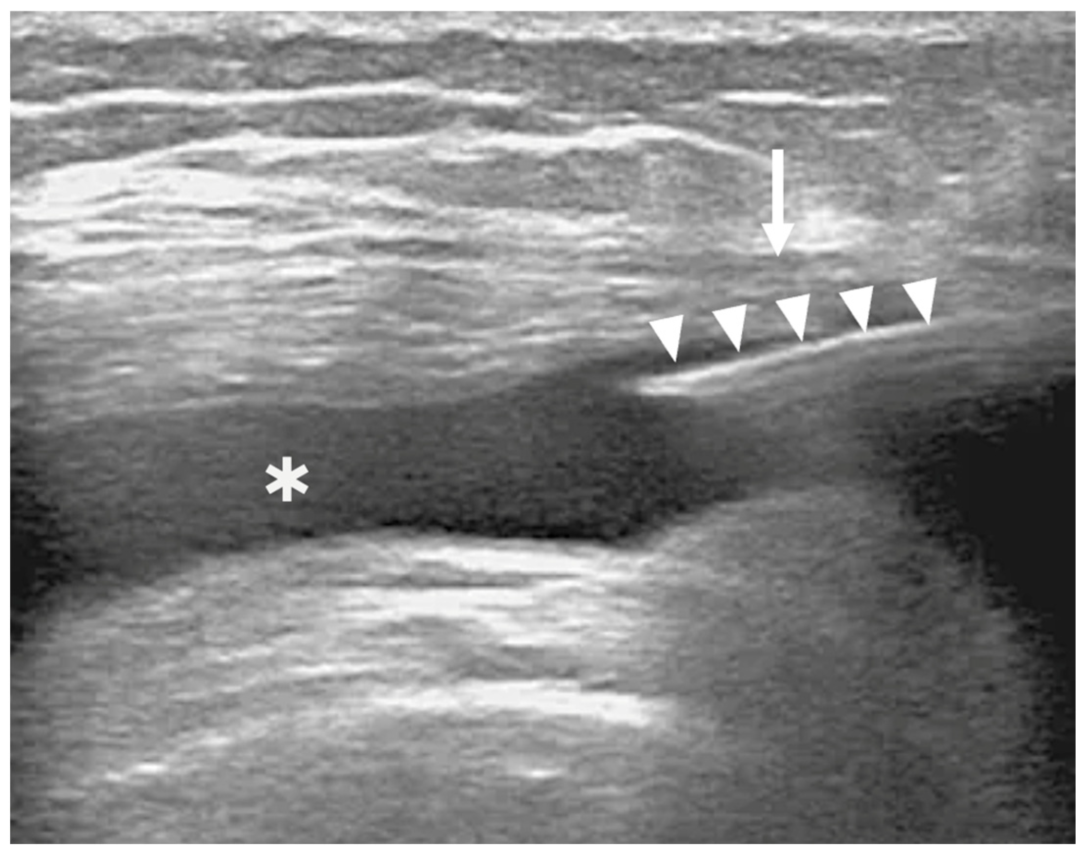 Bioengineering 12 01150 g003 Bioengineering 12 01150 g003