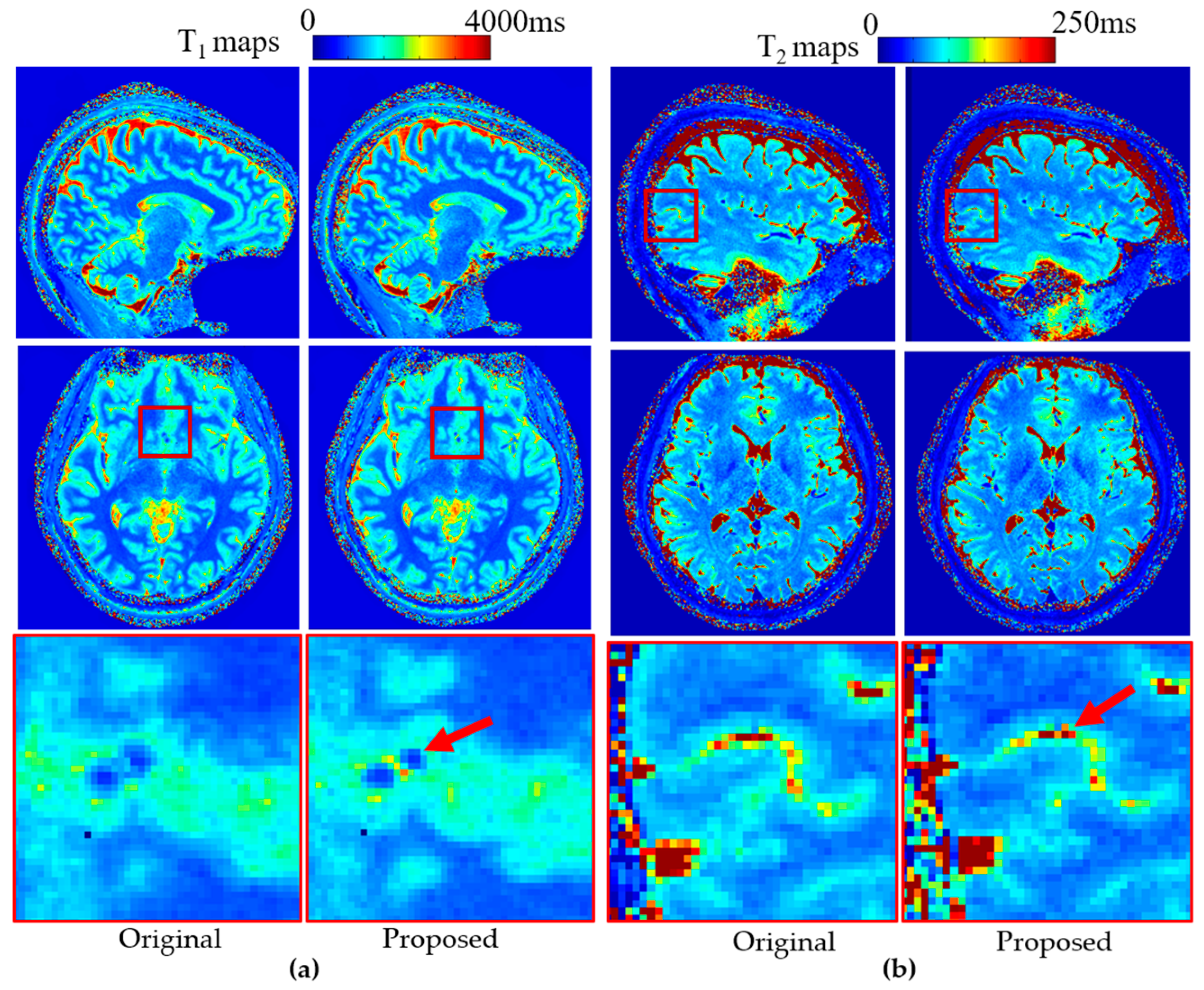 Bioengineering 12 01152 g008