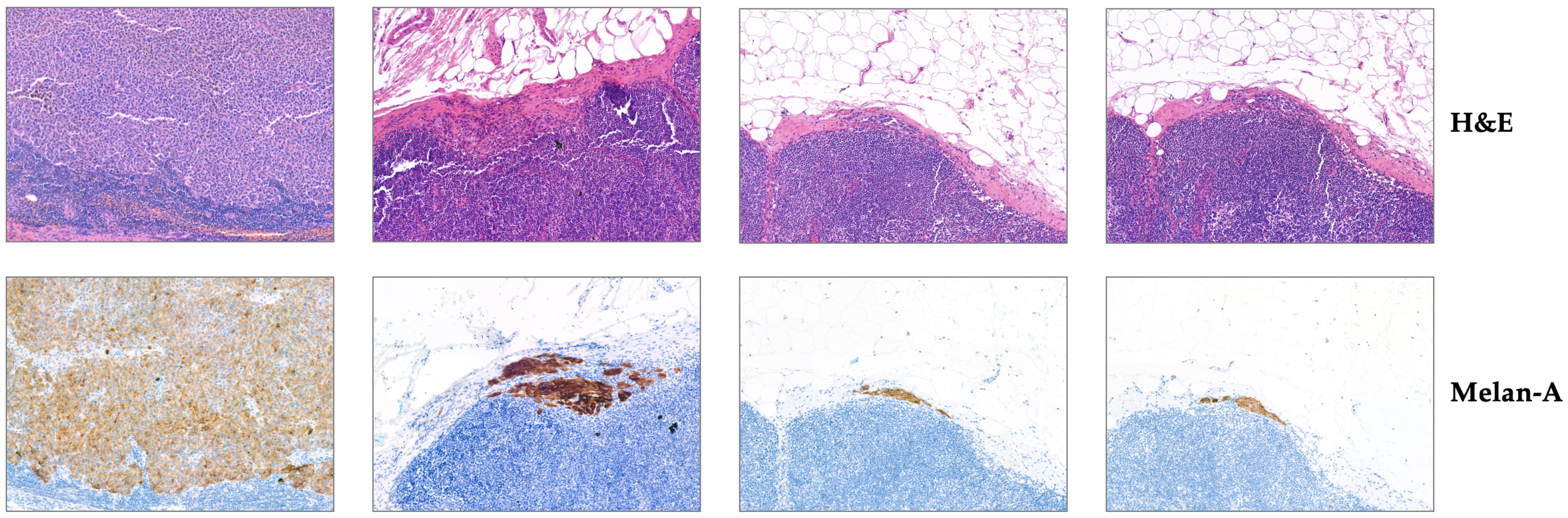 Bioengineering 12 01156 g003 Bioengineering 12 01156 g003