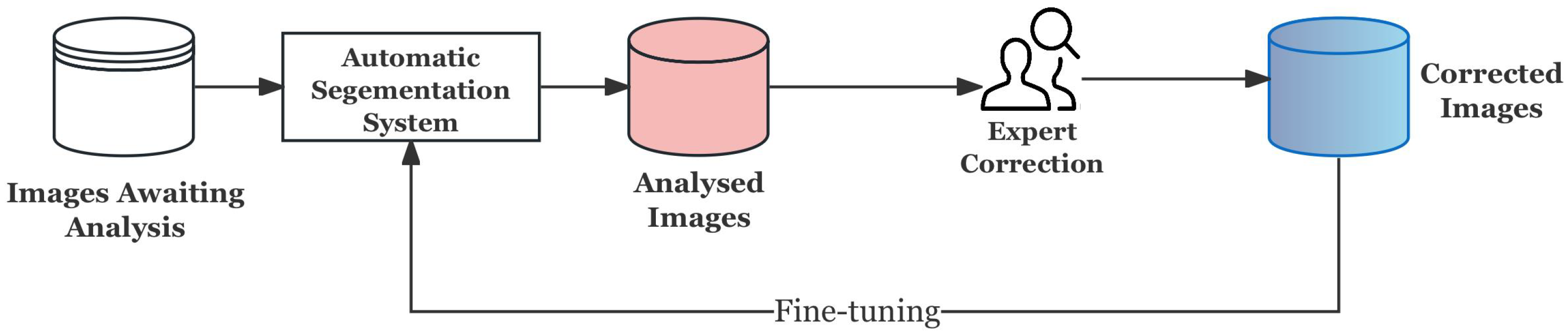 Bioengineering 12 01156 g013 Bioengineering 12 01156 g013