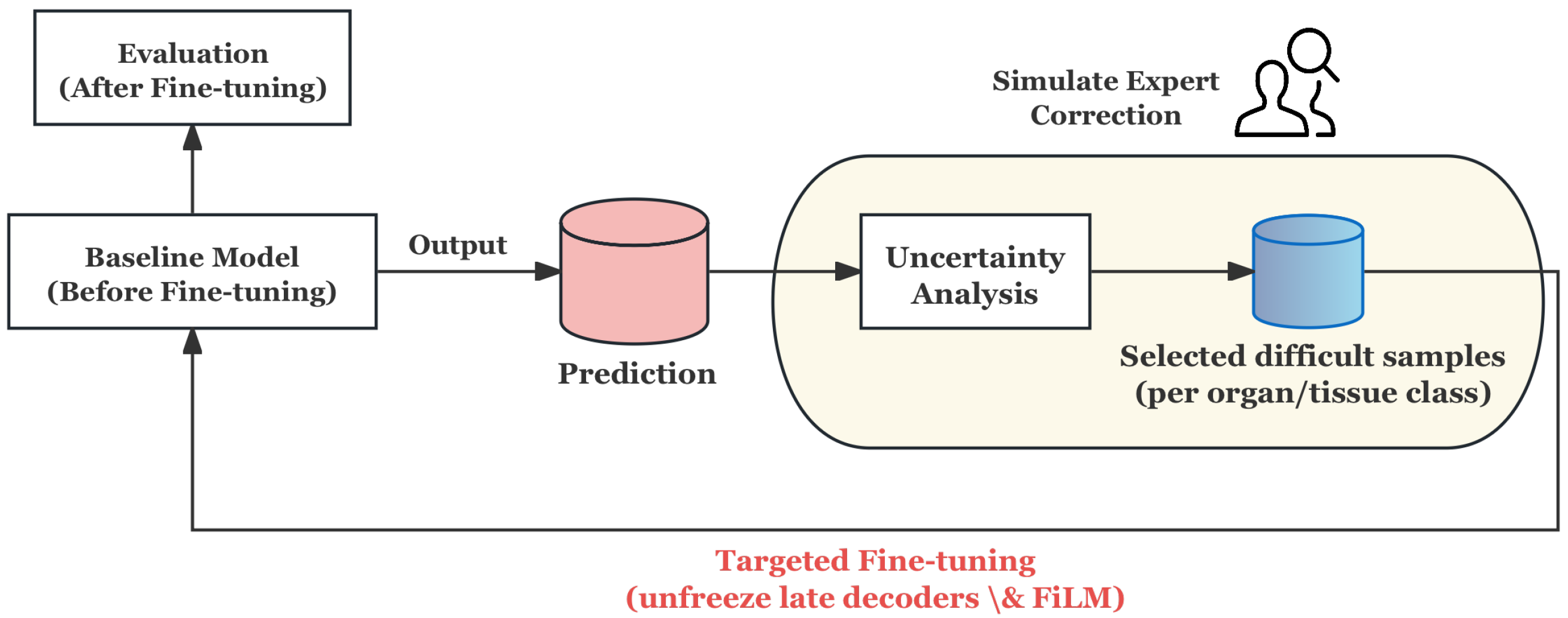 Bioengineering 12 01156 g014 Bioengineering 12 01156 g014